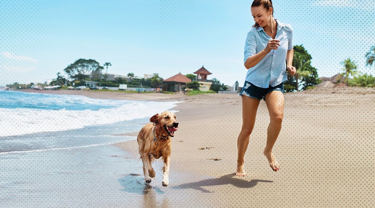 Hund vor Mittelmeererkrankungen schützen - Tierarzt-Sprechstunde - AniForte
