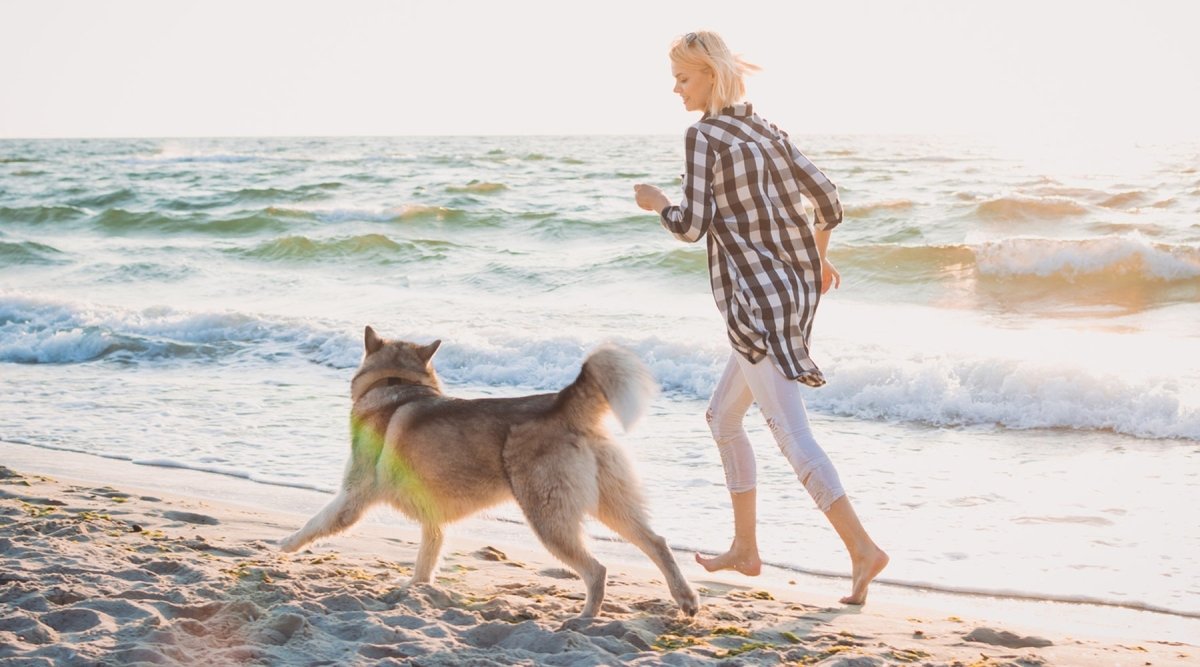 Kurzurlaub mit dem Hund - AniForte