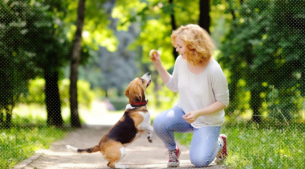 Menovus Gartenfigur „Hund Will Gassi Gehen“ – Edelrost, Witterungsbeständig, Perfekte Gartendekoration
