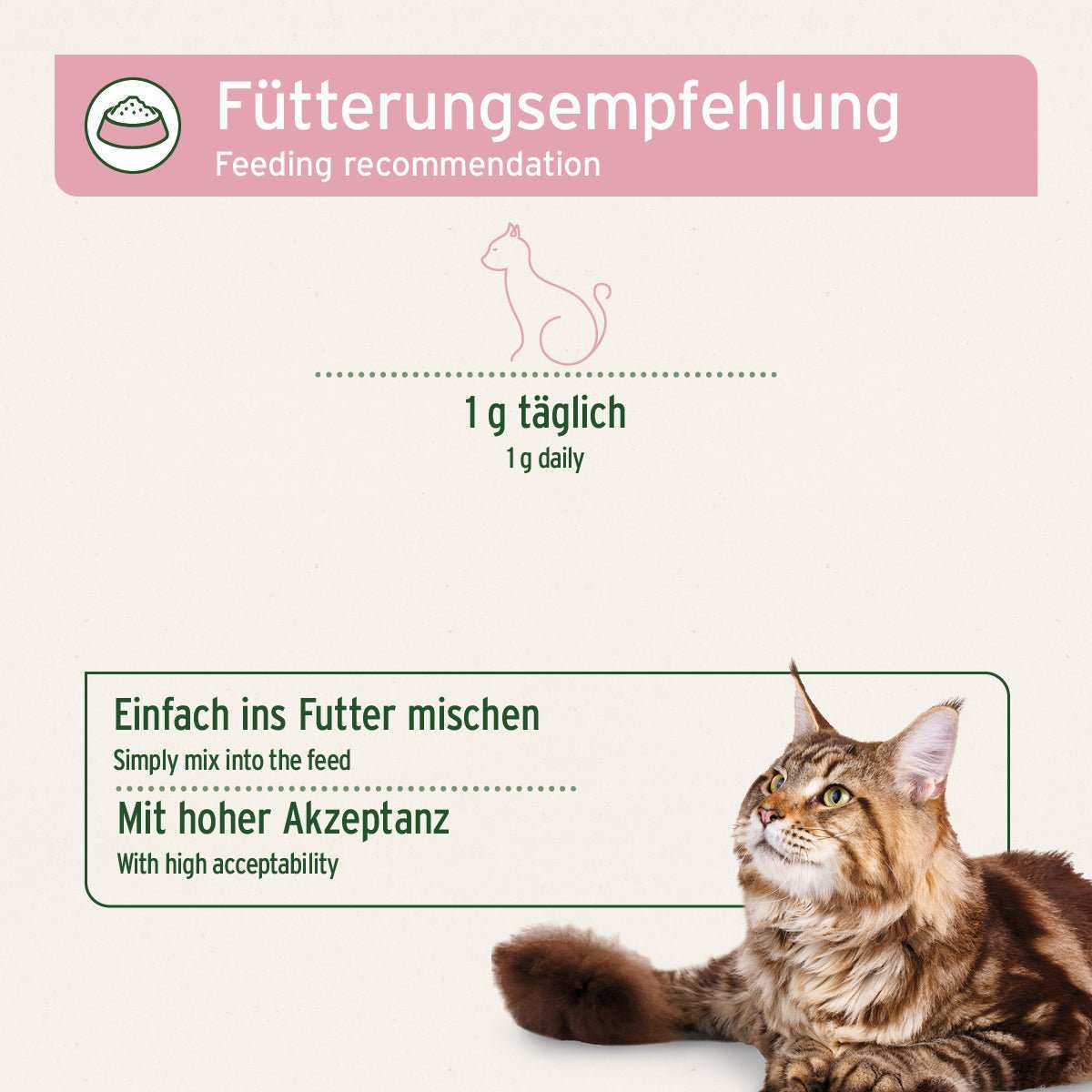 Fütterungsempfehlung 4in1 Complete Cat mit Katze, 1 g täglich für Immunsystem, Gelenke und Verdauung.