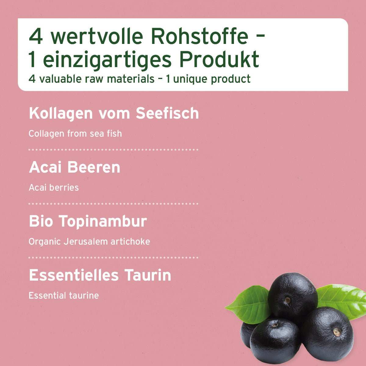 4in1 Complete Cat Katzenprodukt mit Kollagen, Acai, Topinambur und Taurin.