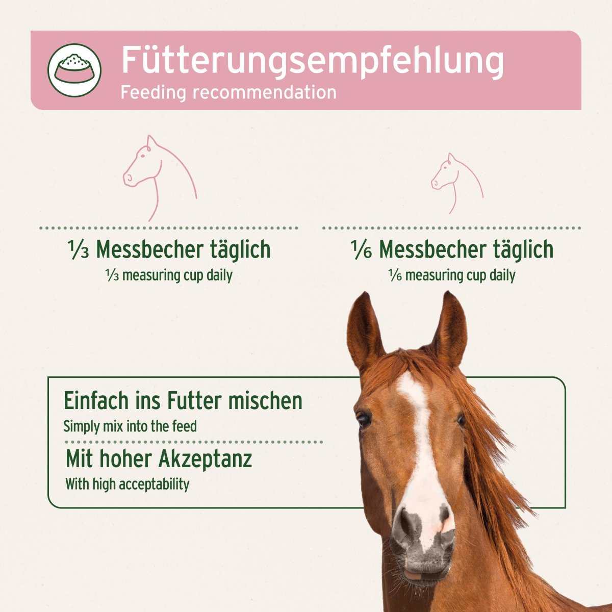 Fütterungsempfehlung für 4in1 Complete Horse, Produkt zur Immun-, Gelenk- und Verdauungsunterstützung bei Pferden. Mit Pferd auf weißem Hintergrund.