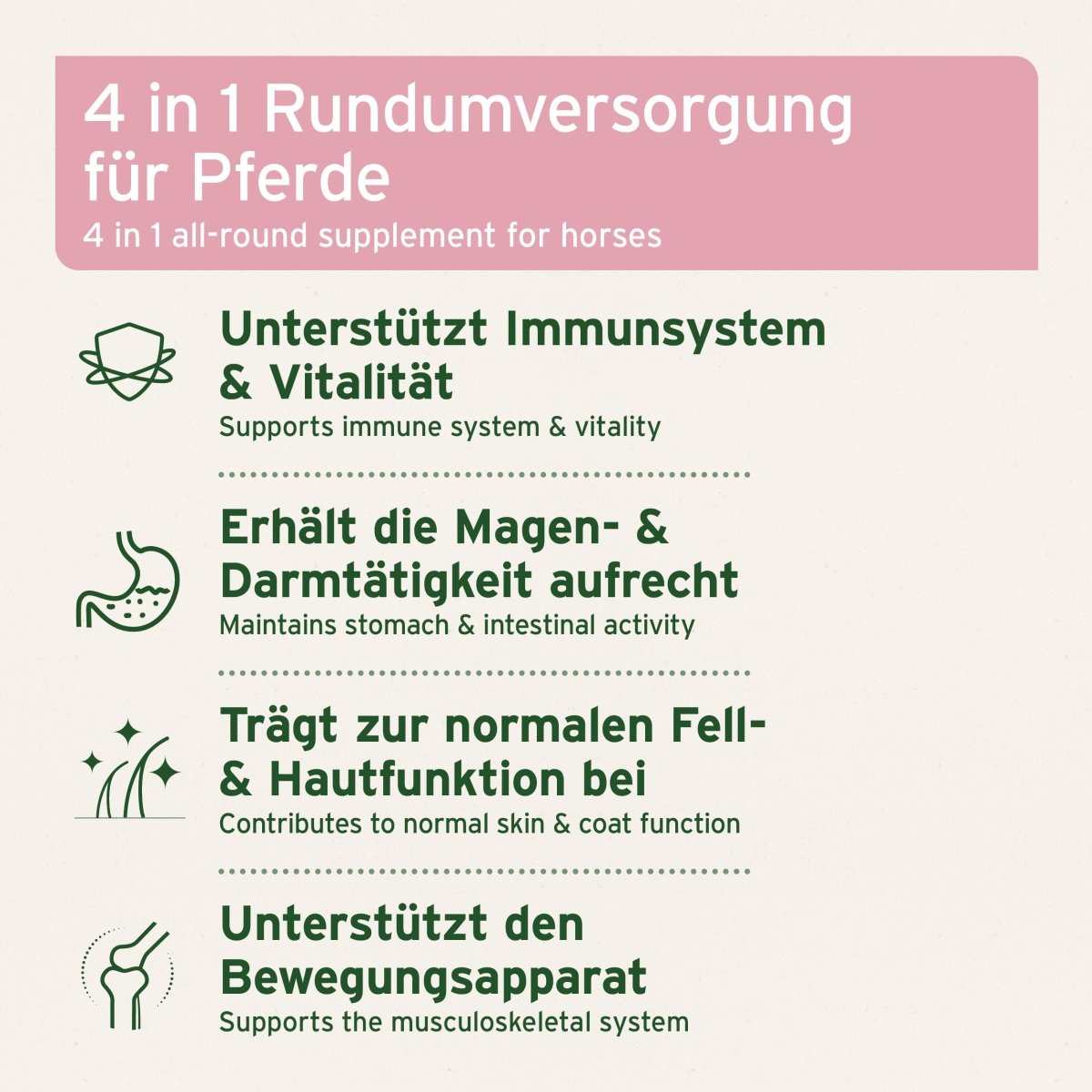Piktogramme für Pferdesupplement zur Unterstützung von Immunsystem, Gelenken, Fell und Verdauung.