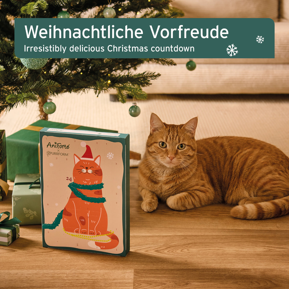 Advent calendar 2023 for cats