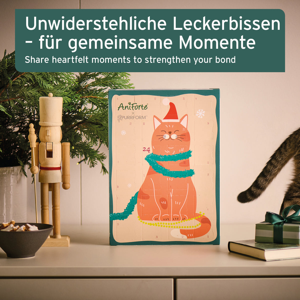 Advent calendar 2023 for cats