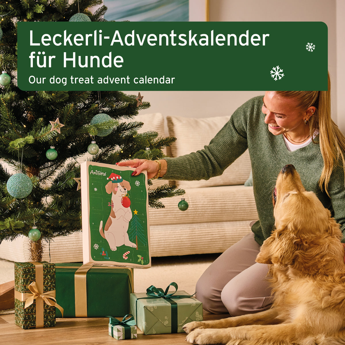 Advent calendar 2023 for dogs