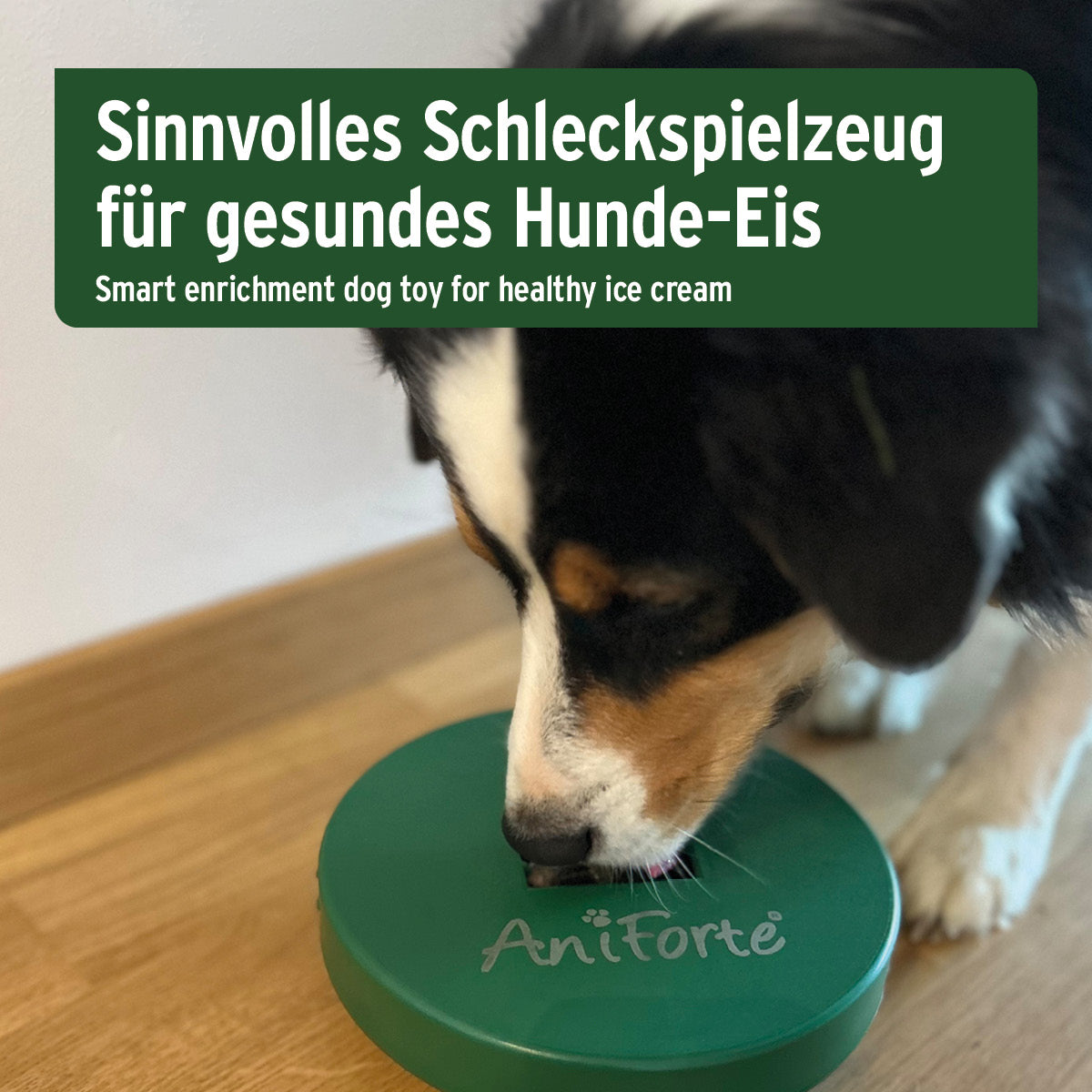 AniForte BOGGL® Bundle innovatives Schleckspielzeug für gesunde Hunde-Eiscreme und mentale Beschäftigung