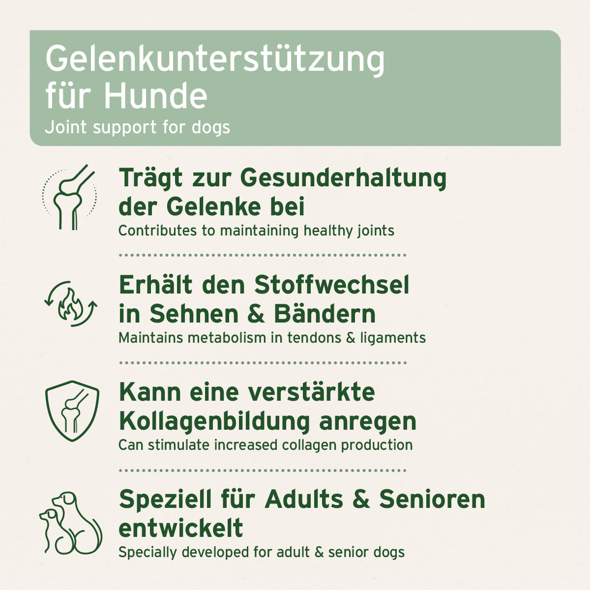 AgilityVET Gelenktabletten zur natürlichen Unterstützung der Gelenke, Sehnen und Bänder bei Hunden, fördert Kollagenbildung und Stoffwechsel.