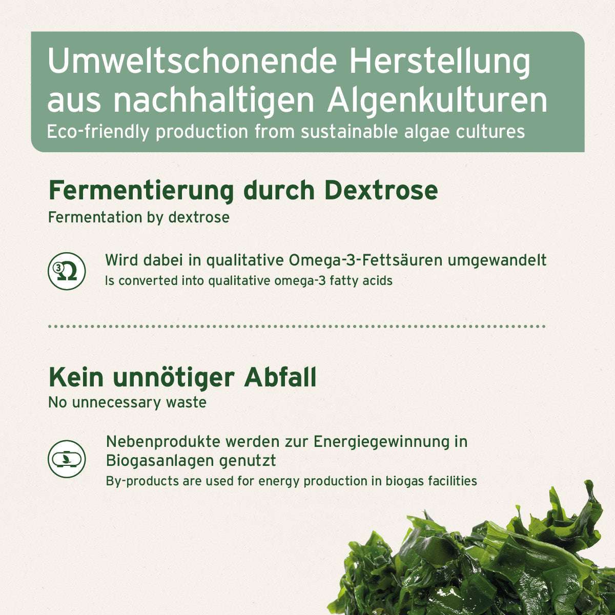 Umweltschonende Herstellung von AniForte® Algenöl, vegane Omega-3-Quelle aus nachhaltigen Algenkulturen, ideal für Tiere mit Fischallergien. Abbildung von Algen.