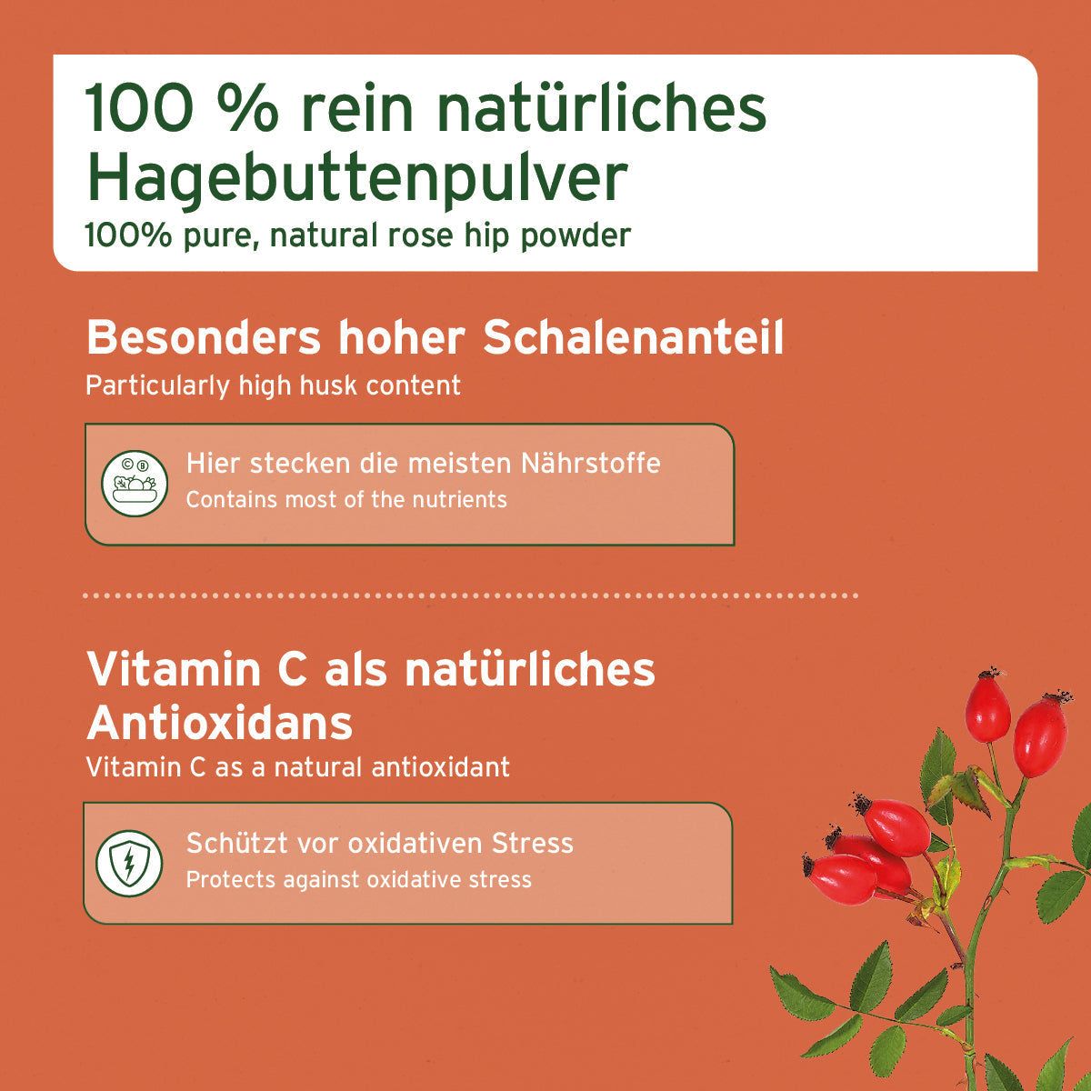 Hagebuttenpulver für Hunde und Katzen mit hohem Schalenanteil und natürlichem Vitamin C zur Unterstützung von Immunsystem und Gelenken.
