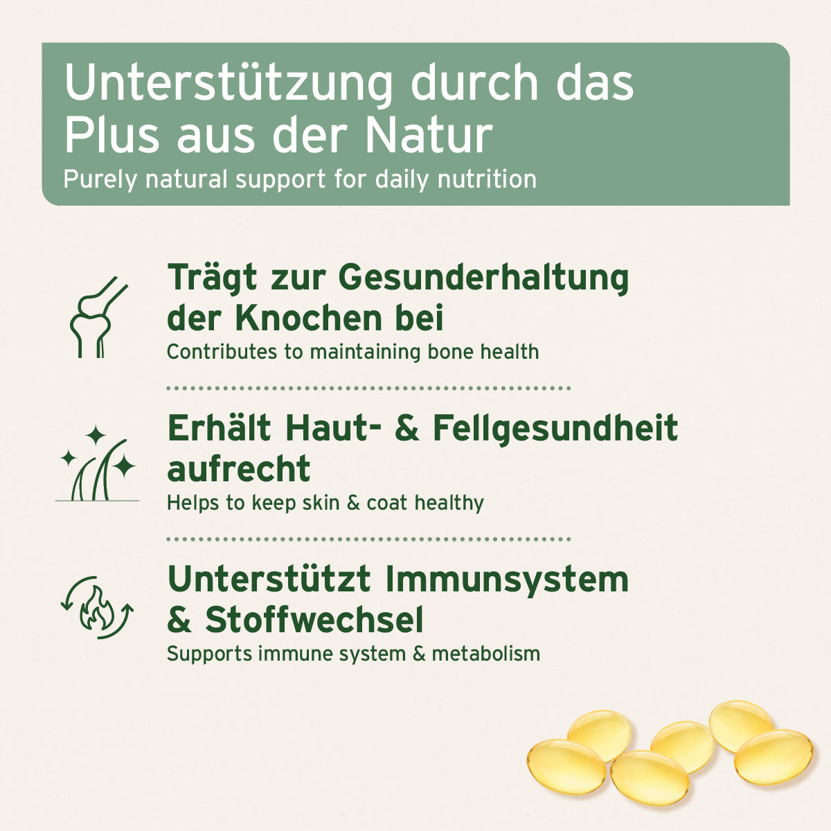 Lachsöl Kapseln für Hunde und Katzen zur Unterstützung von Knochen, Haut, Fell und Immunsystem