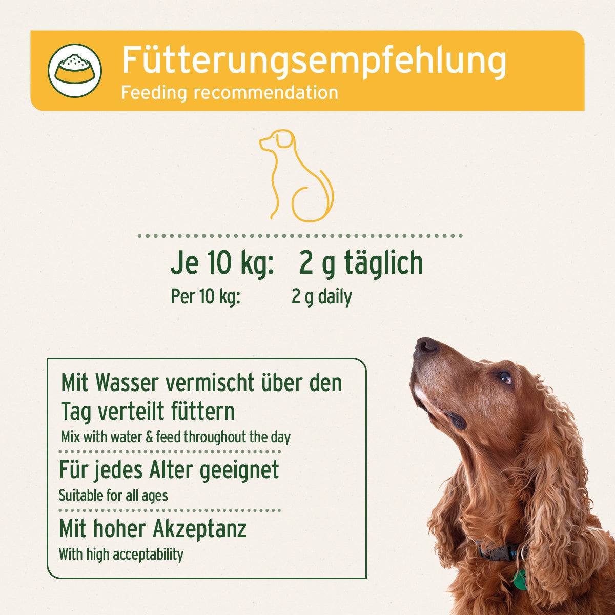 MagenSanft Magenpulver für Hunde, Fütterungsempfehlung, unterstützt Verdauung und Magen-Darmtätigkeit.