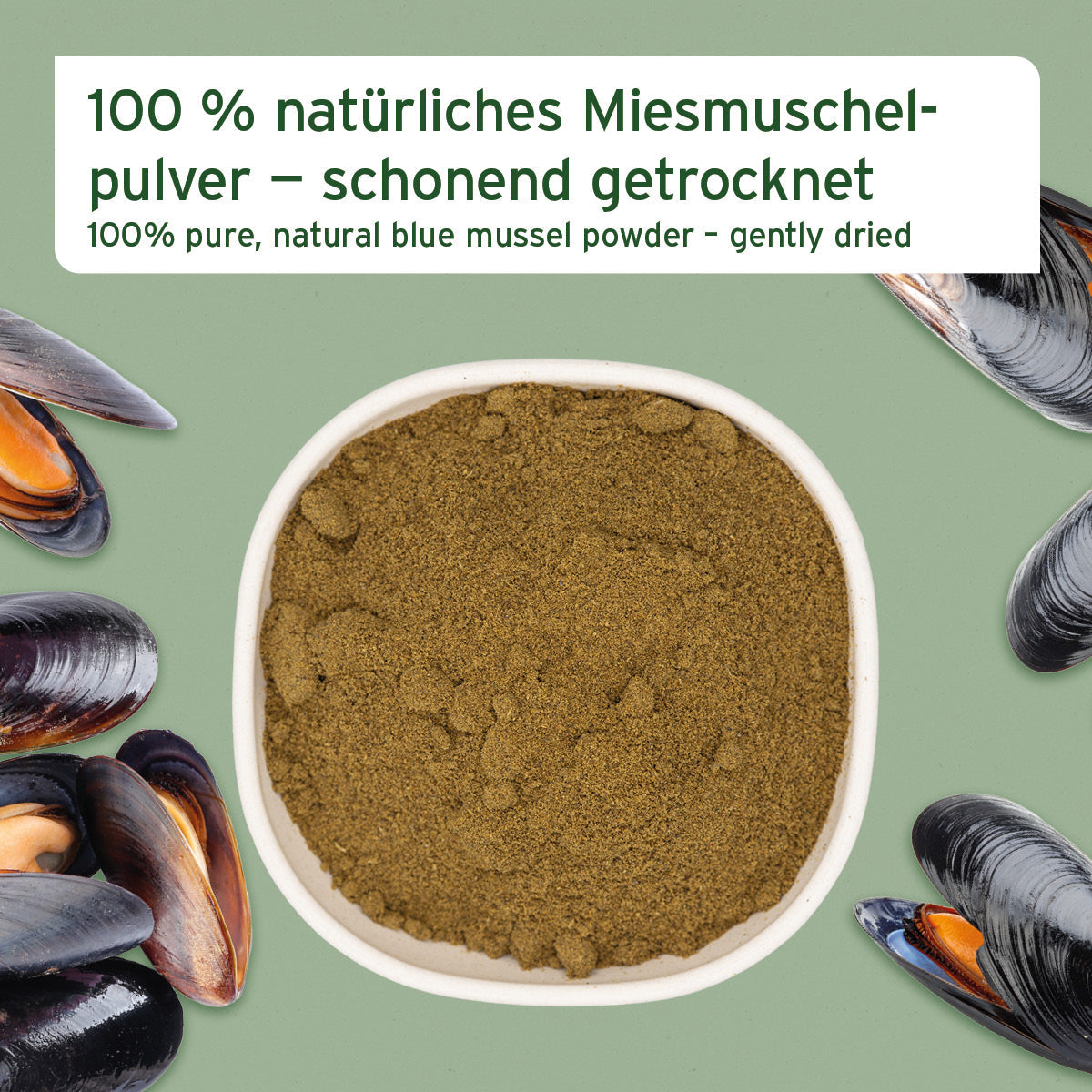 AniForte Muschelkraft Pulver – natürliches Muschelpulver für Hunde und Katzen aus der Blauen Miesmuschel