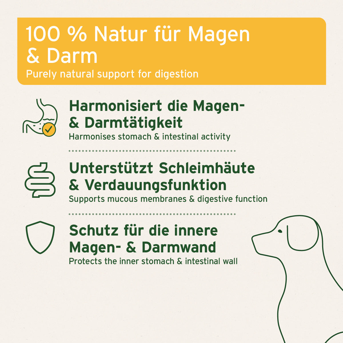 Ulmenrinde Pulver zur natürlichen Unterstützung von Magen und Darm bei Hund und Katze
