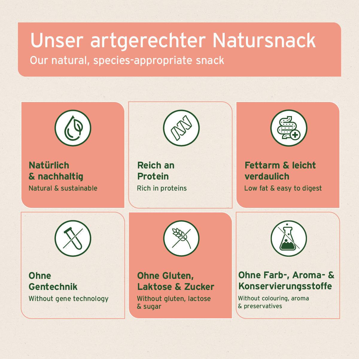 Grafische Darstellung Lachshaut für Hunde, natürlicher und nachhaltiger Kausnack, reich an Omega-3 und Proteinen, frei von Zusatzstoffen und leicht verdaulich.