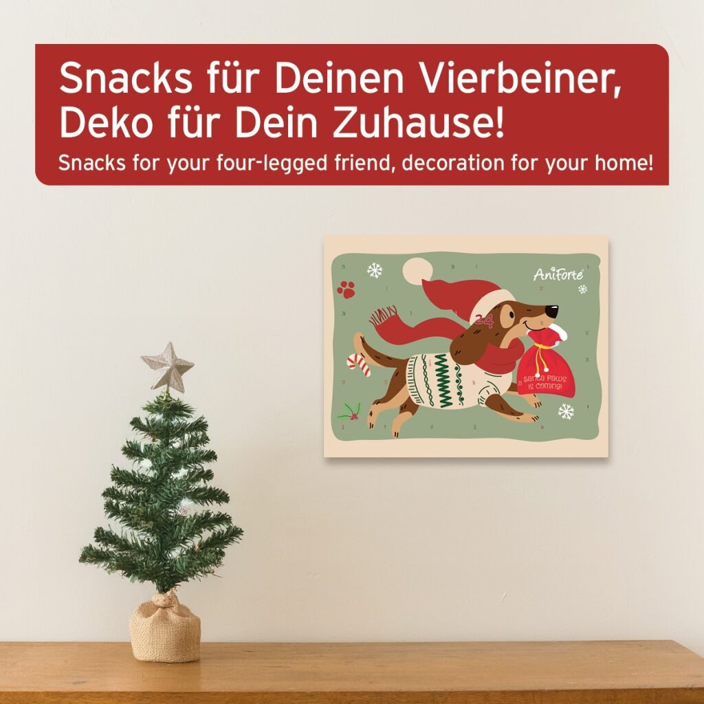 Adventskalender für Hunde mit natürlichen Snacks und weihnachtlicher Deko