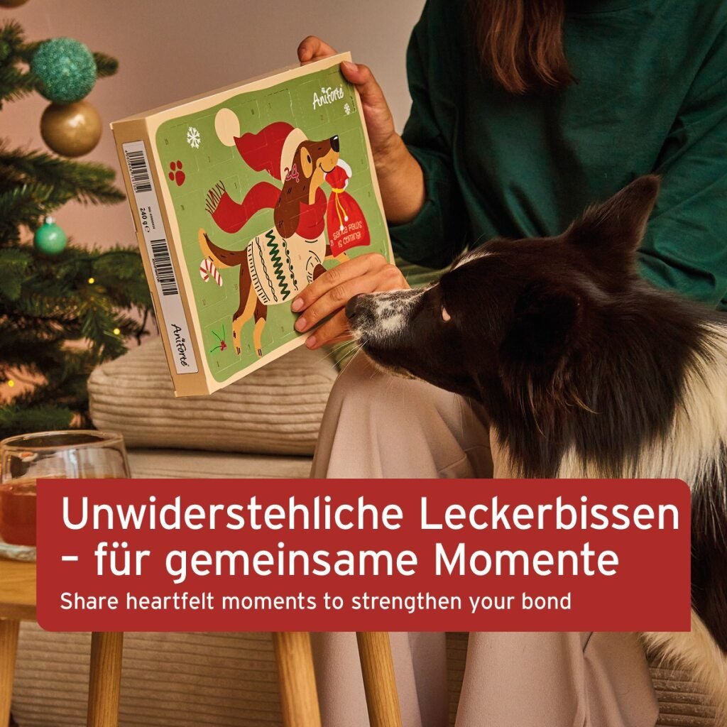 Adventskalender für Hunde mit natürlichen Leckerbissen und 24 Überraschungen für gemeinsame Momente