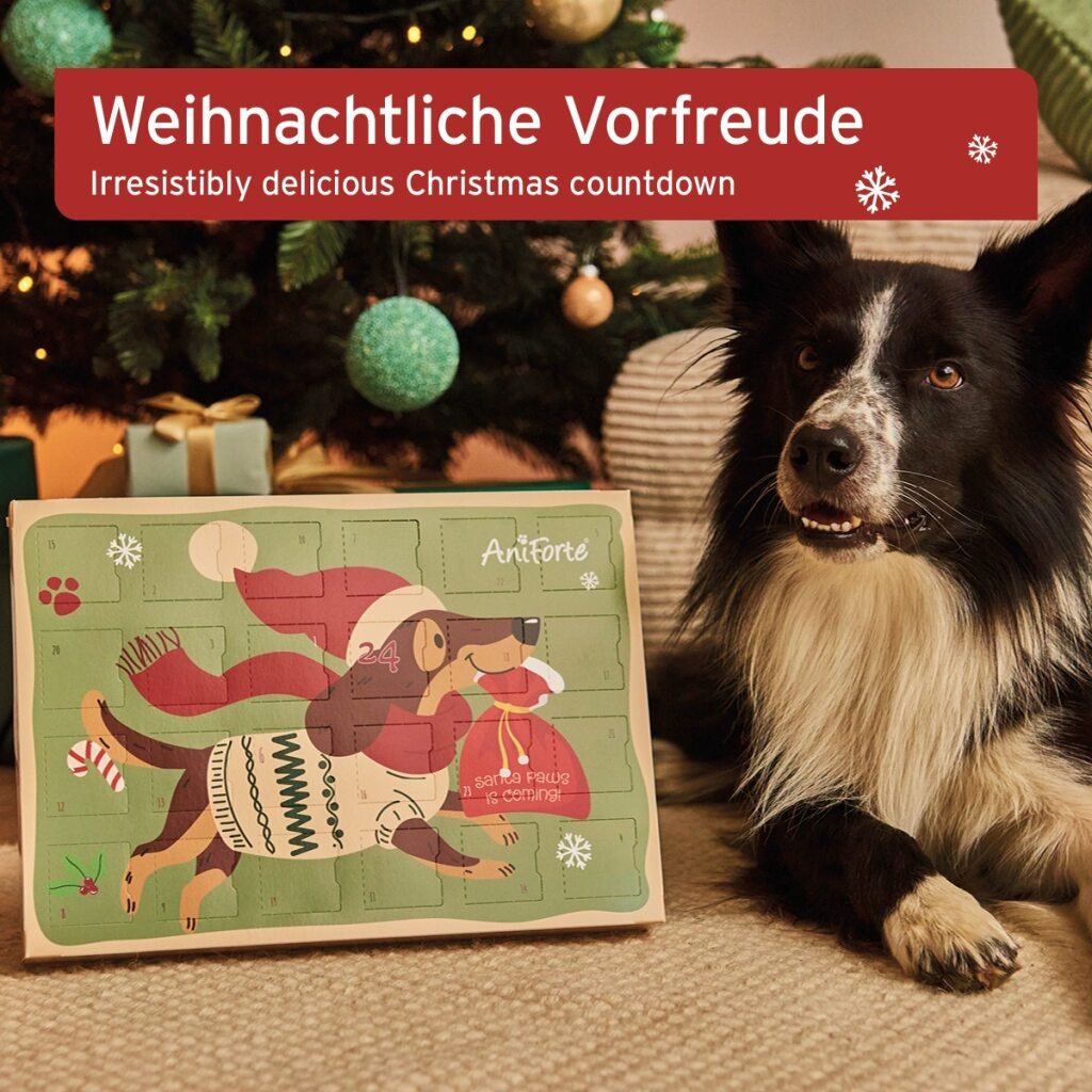 Hund neben AniForte Adventskalender für Hunde mit natürlichen Leckerlis unter Weihnachtsbaum