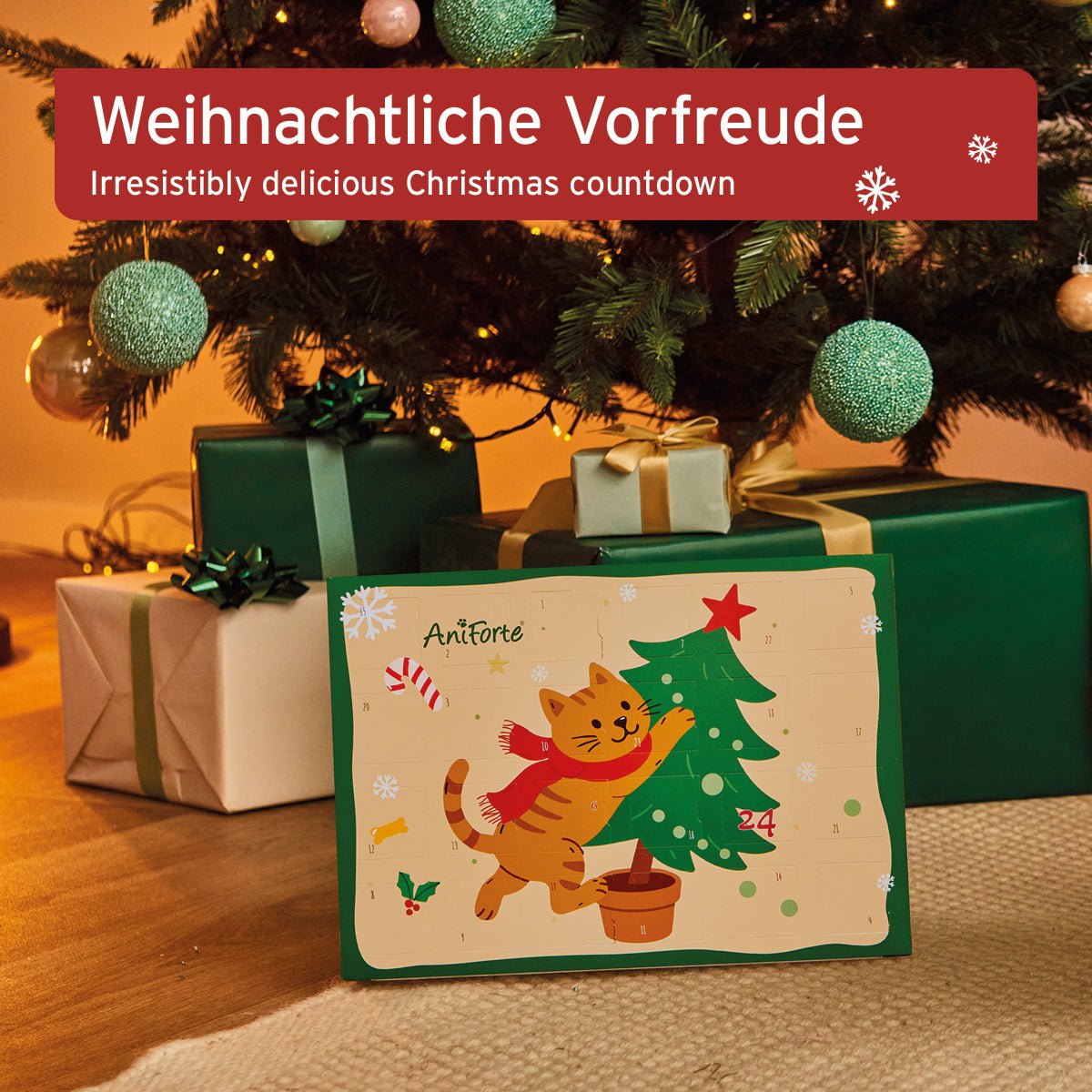 AniForte Adventskalender 2025 für Katzen mit natürlichen Snacks vor weihnachtlich dekoriertem Baum