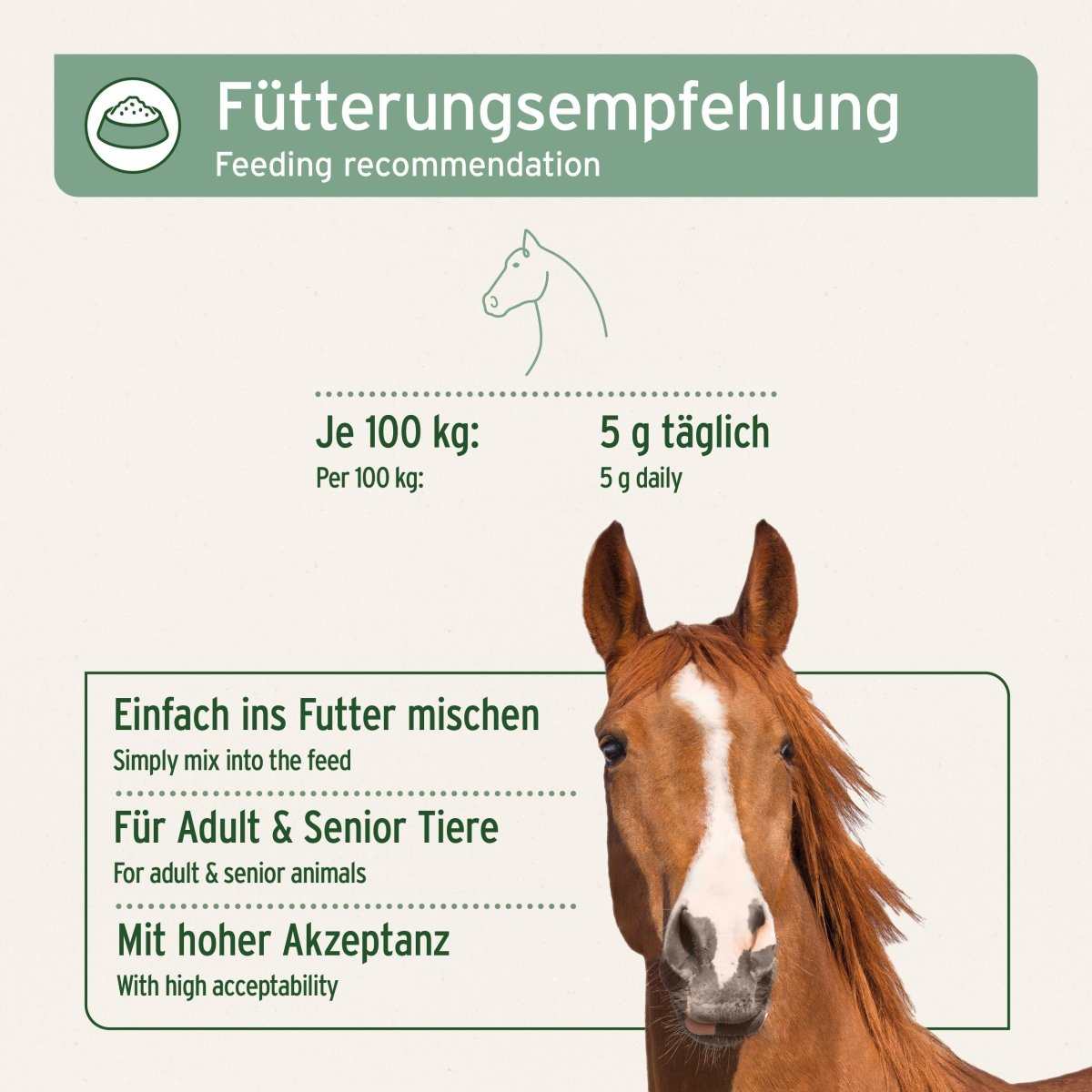 Fütterungsempfehlung für Afrikanische Teufelskralle, 5g täglich pro 100kg, geeignet für erwachsene Pferde, unterstützt Gelenke und Beweglichkeit.