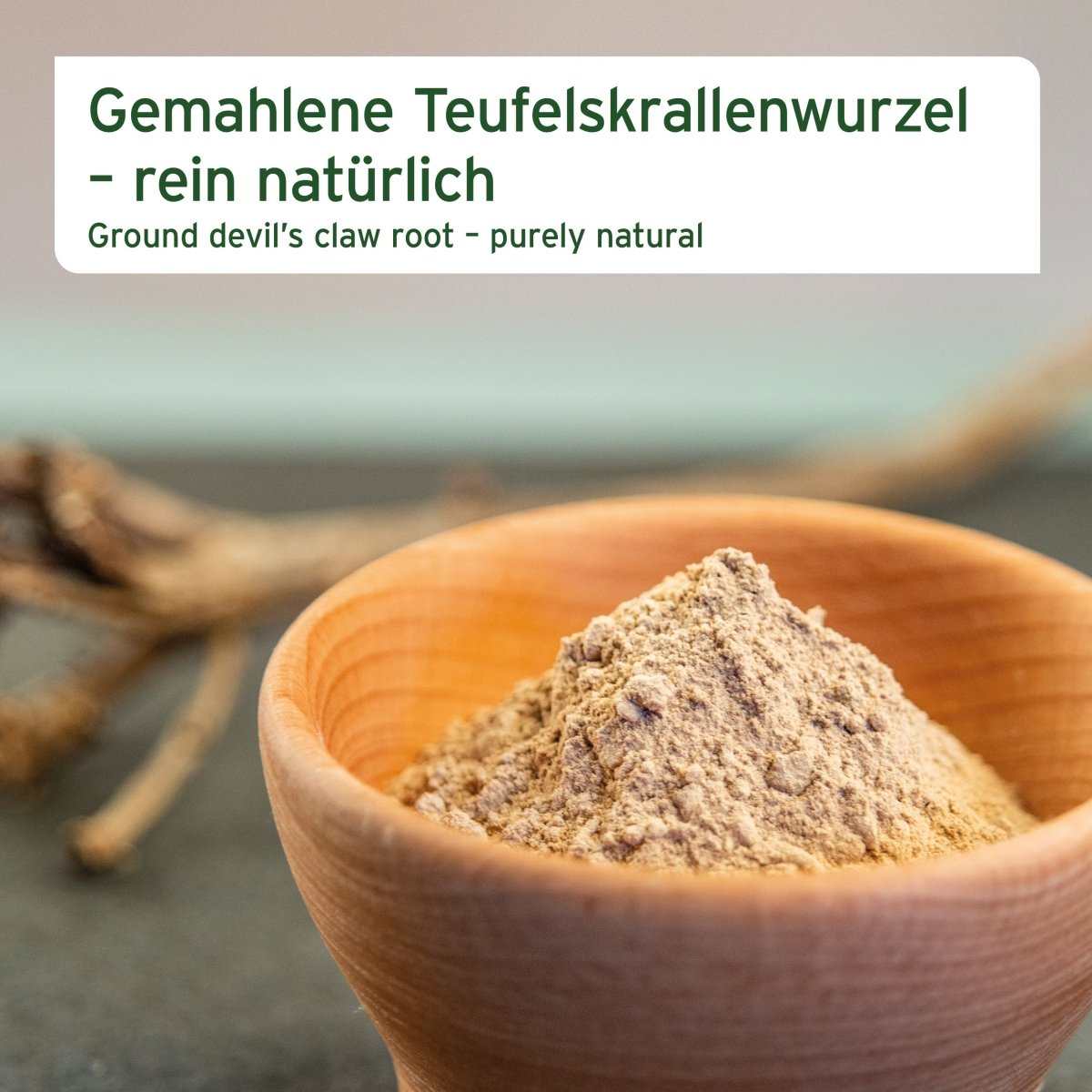 Afrikanische Teufelskralle Pulver in Holzschale, Naturprodukt für Pferdegelenke.