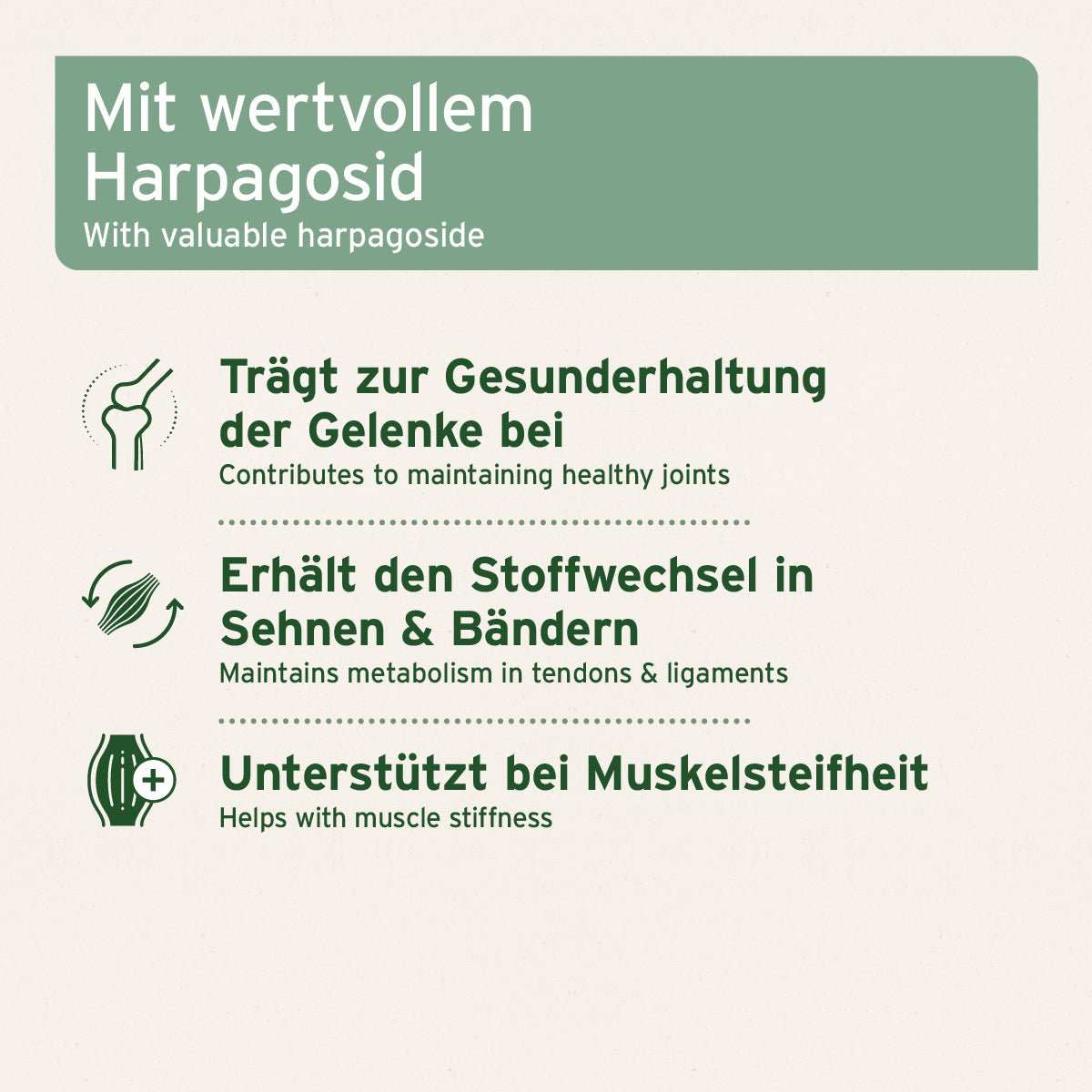 Informationsgrafik Afrikanische Teufelskralle für Hunde und Katzen, unterstützt Gelenke und Muskeln, enthält wertvolles Harpagosid, fördert Beweglichkeit.
