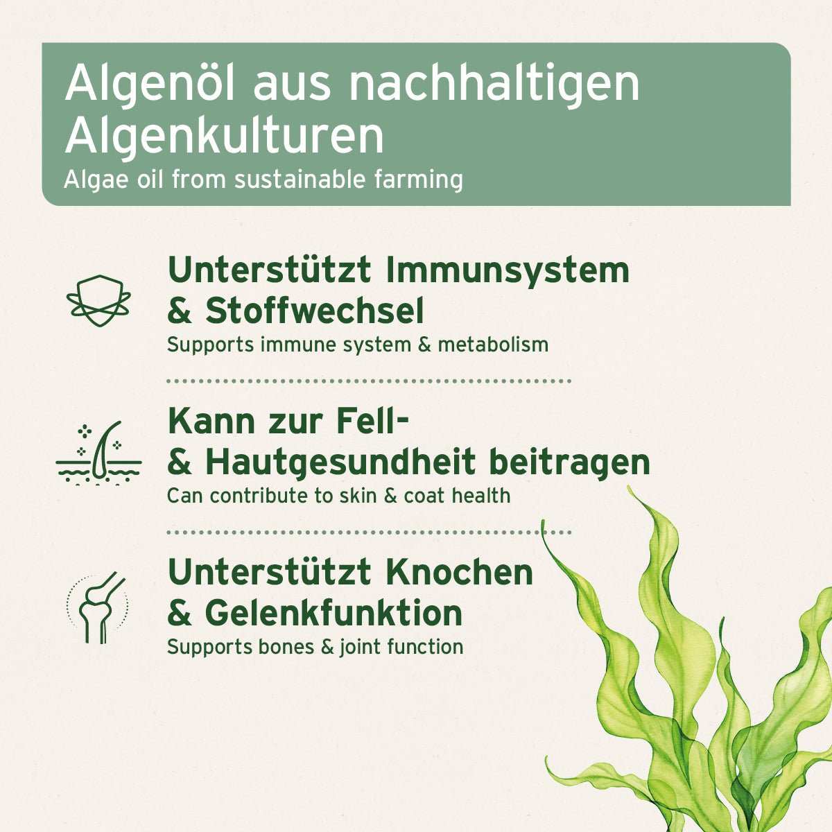 Grafische Darstellung Algenöl für Tiere, unterstützt Immunsystem und Stoffwechsel, nachhaltige Algenkulturen, Förderung von Fell- und Hautgesundheit.