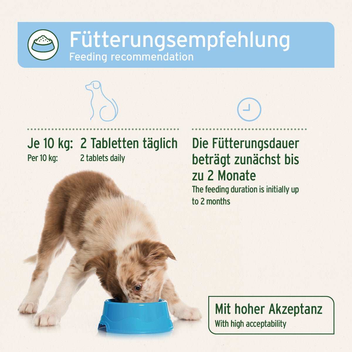 Fütterungsempfehlung für AniForte® plus Fell & Haut: Zwei Tabletten täglich pro 10 kg, zunächst für 2 Monate. Davor eine Welpe, der aus einem Napf frisst.