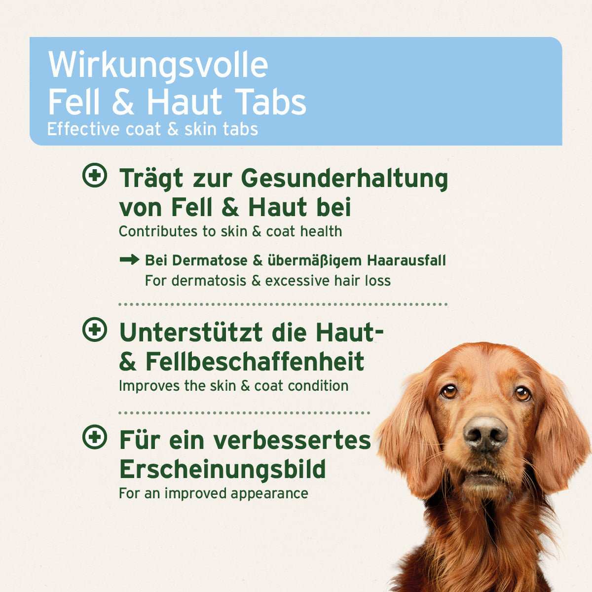 Informationsgrafik mit dem Hinweis auf: unterstützt bei Dermatose und Haarausfall, verbessert Haut- und Fellbeschaffenheit, enthält Omega-3-Fettsäuren, MSM, Zink und Biotin. Dazu ein brauner Hund, der in die Kamera schaut.