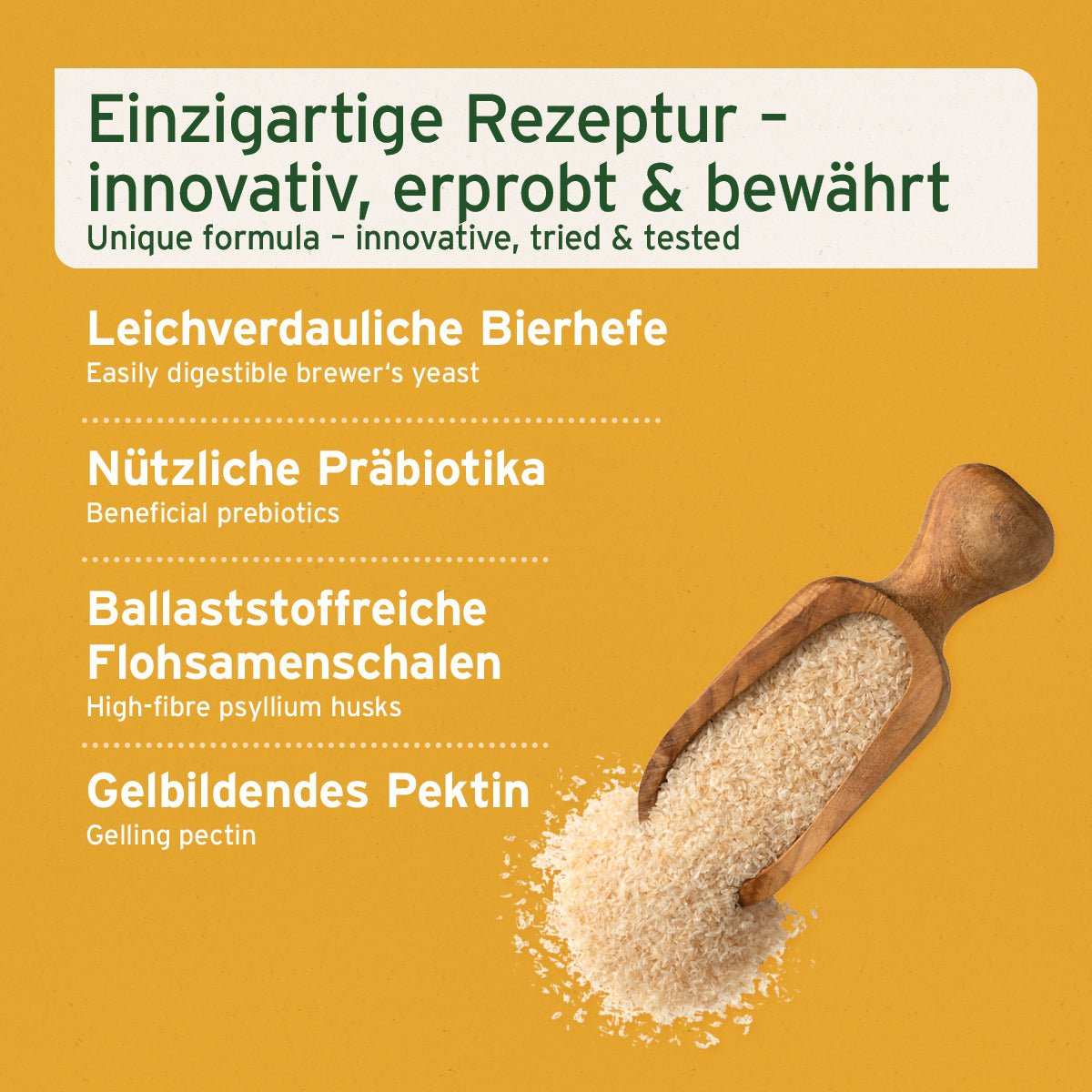 Rezepturangabe mit Inhaltsstoffen neben einem Holzlöffel befüllt mit Flohsamenschalen.