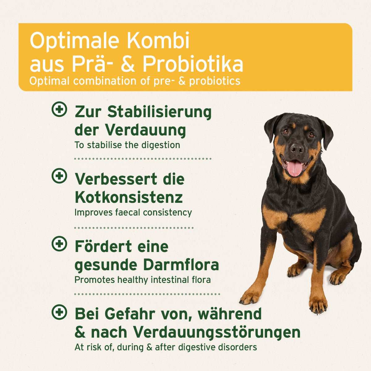 Sitzender Hund und Aufzählung der Vorteile von AniForte plus Probiotikum