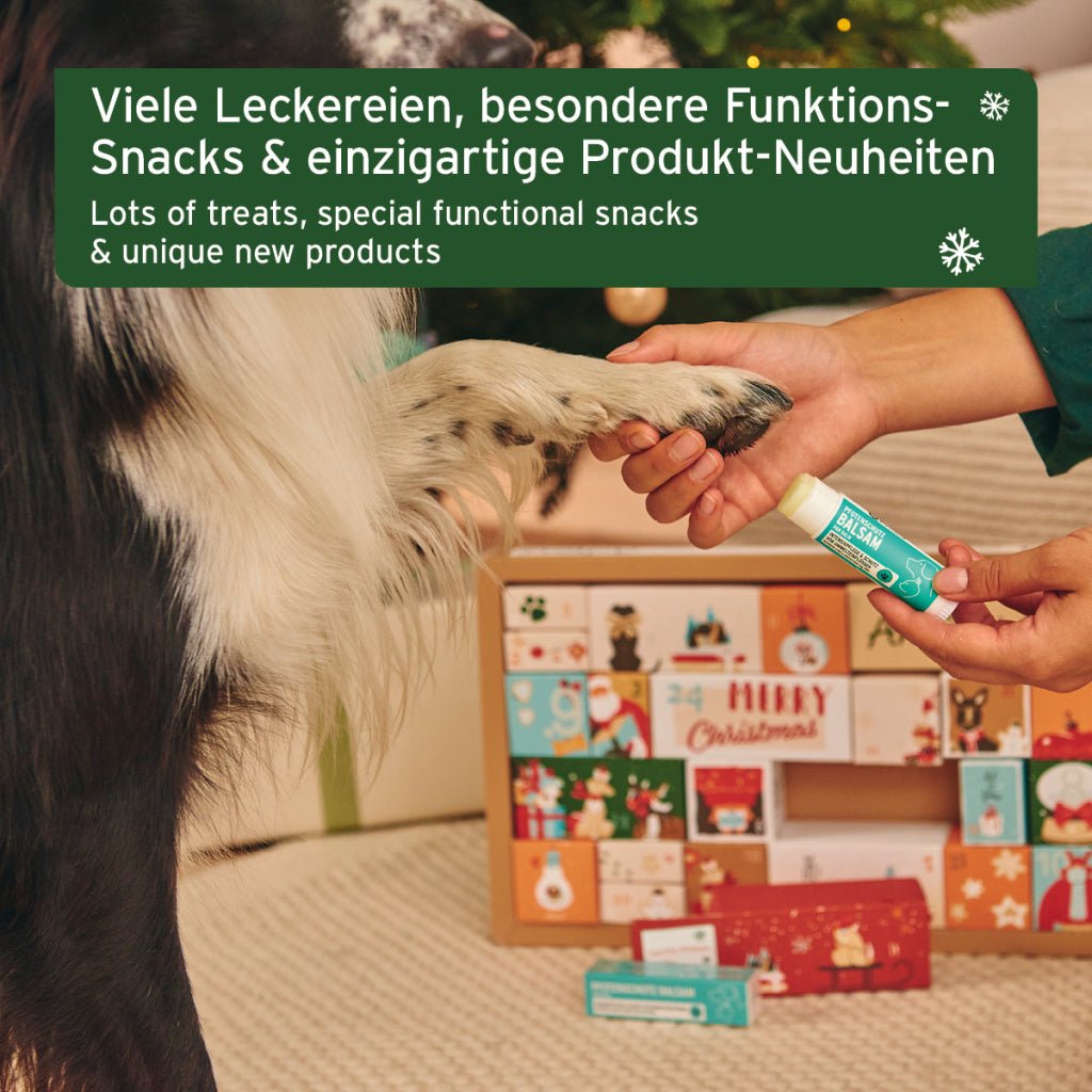AniForte Premium Adventskalender für Hunde mit natürlichen Funktions-Snacks und Leckereien