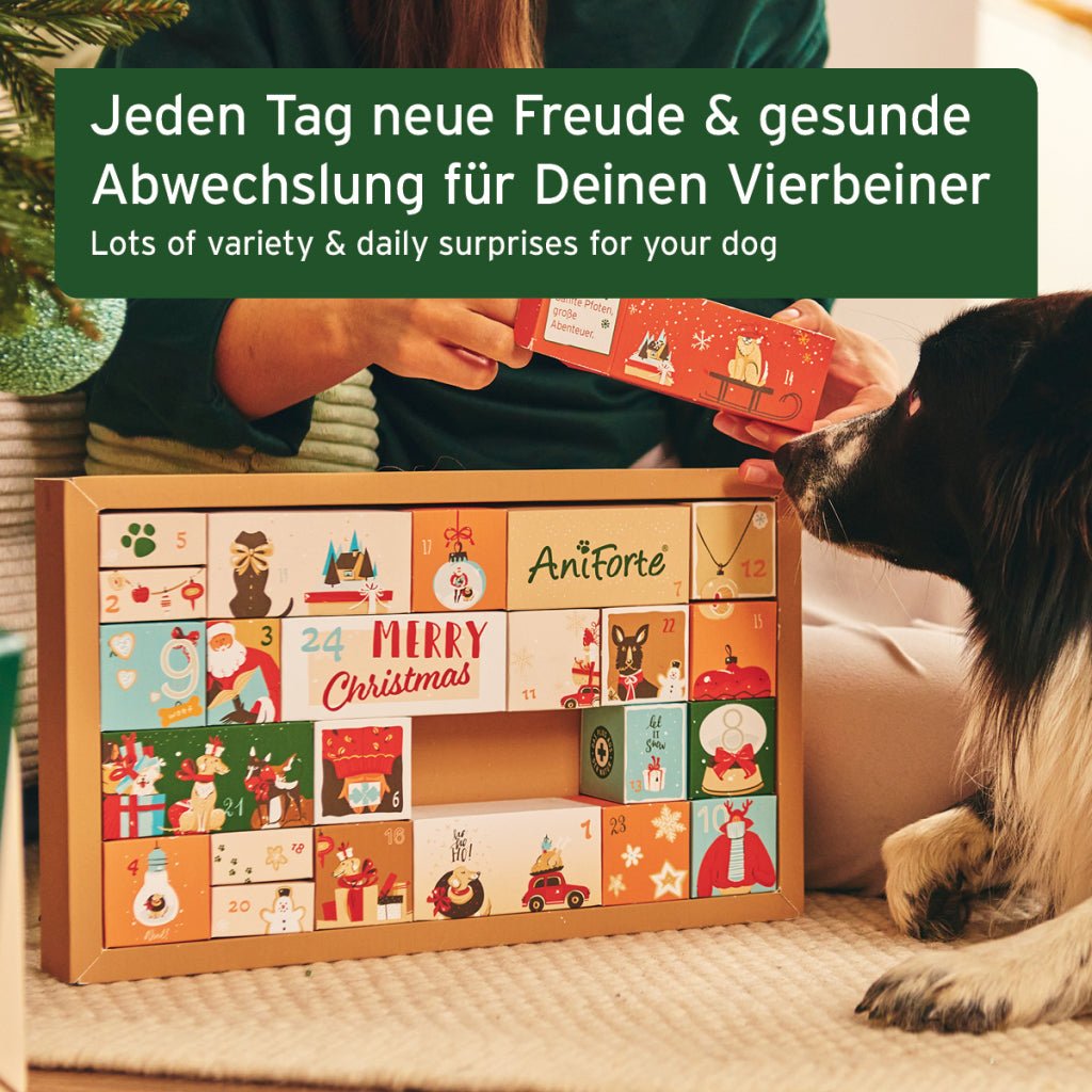 AniForte Premium Adventskalender mit natürlichen Snacks und Überraschungen für Hunde zur Adventszeit
