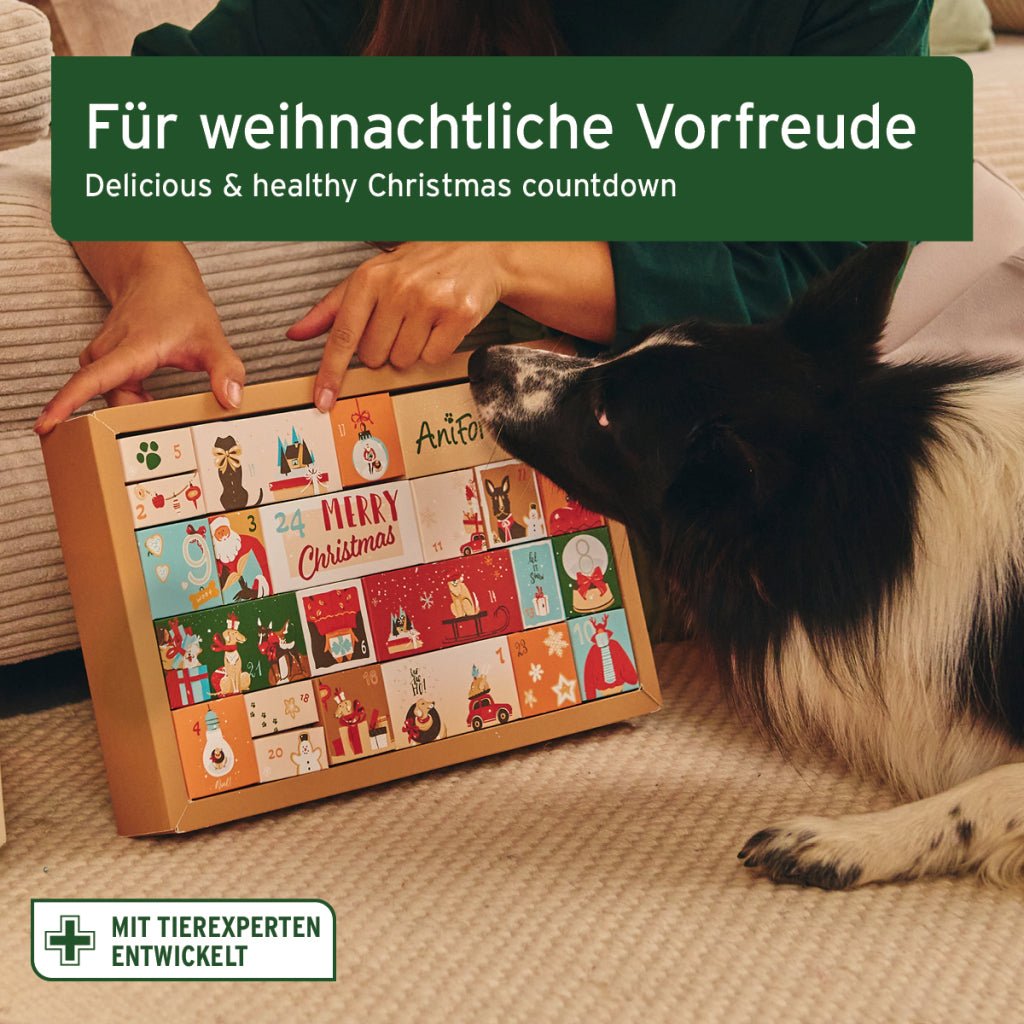 AniForte Premium Adventskalender für Hunde mit 24 festlichen Überraschungen und natürlichen Snacks für weihnachtliche Vorfreude