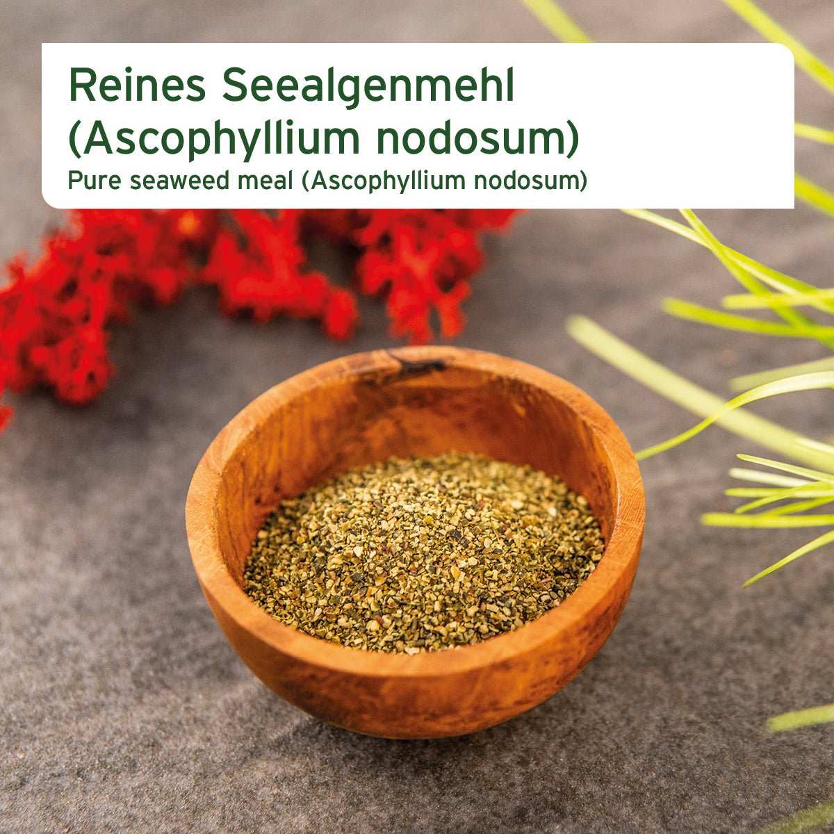 BARF - Line Seealgenmehl - in Holzschüssel.