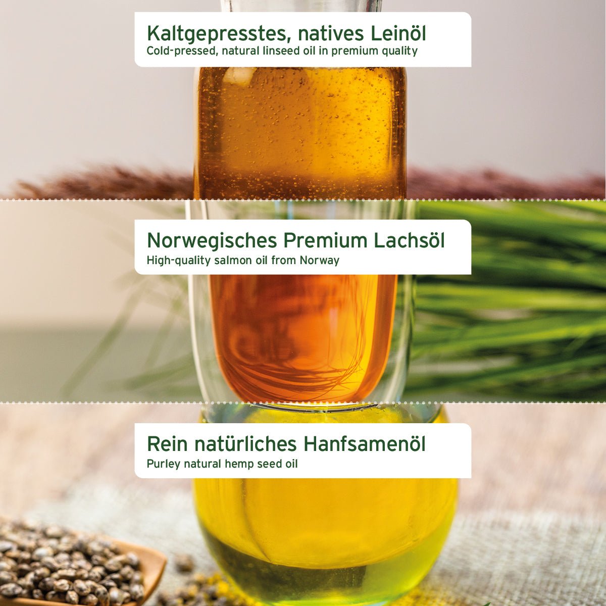 BARF - Öl Set mit Lachsöl, Leinöl & Hanföl - AniForte