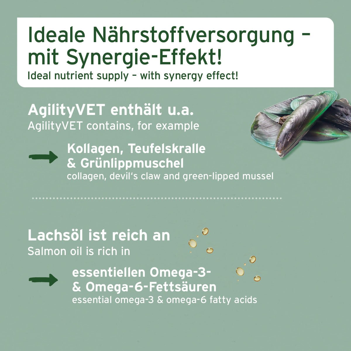 Beweglichkeit & Vitalität in 1 - AniForte