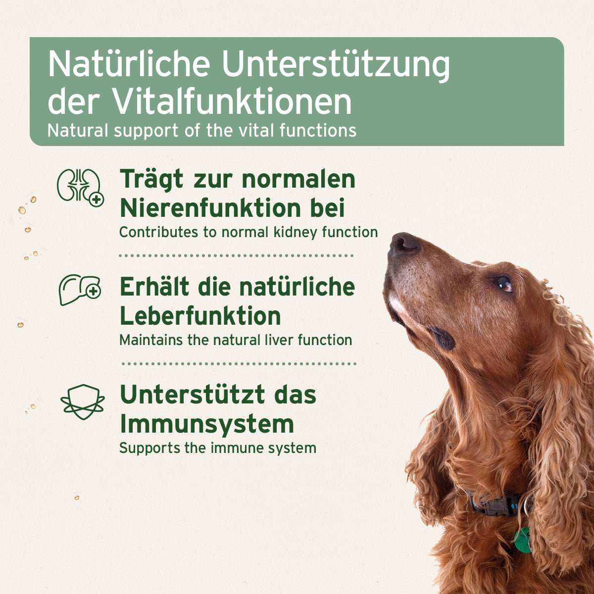 Grafik mit zusätzlichen Informationen Bio Ägyptisches Schwarzkümmelöl - AniForte