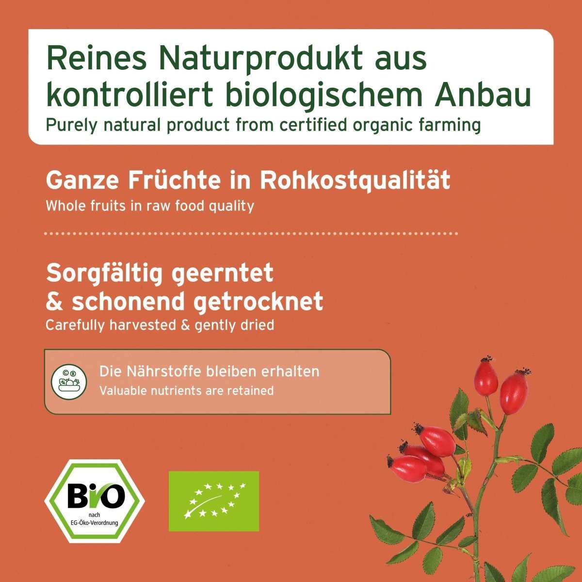 Bio Hagebutten aus kontrolliertem biologischem Anbau, schonend geerntet und in Rohkostqualität.