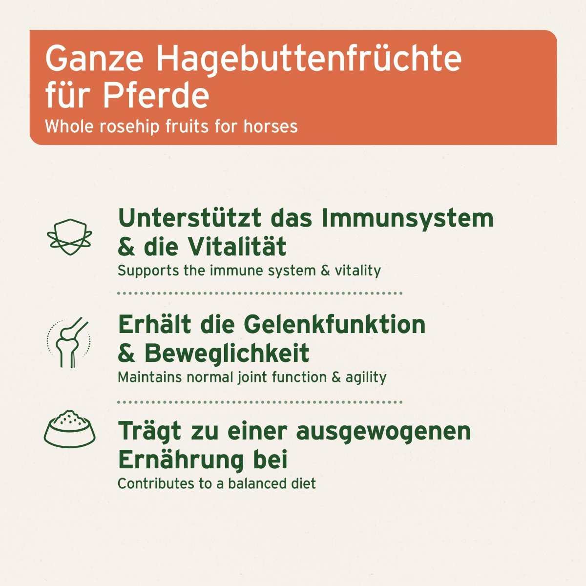 Ganze Bio Hagebutten für Pferde zur Unterstützung von Immunsystem und Gelenken.