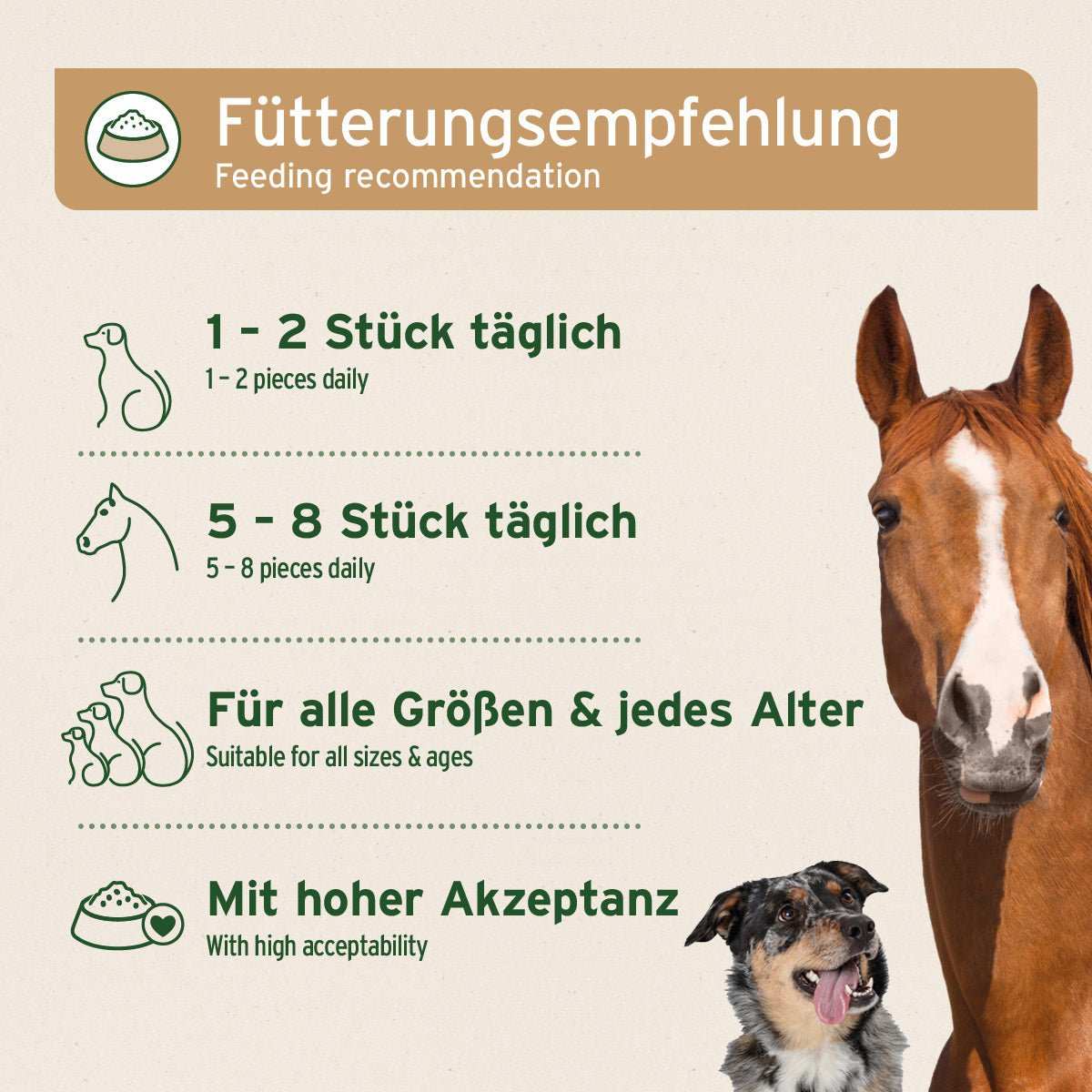 Fütterungsempfehlung für AniForte® Bio Kokos-Sticks, geeignet für Hunde und Pferde aller Größen und Altersstufen, mit hoher Akzeptanz.