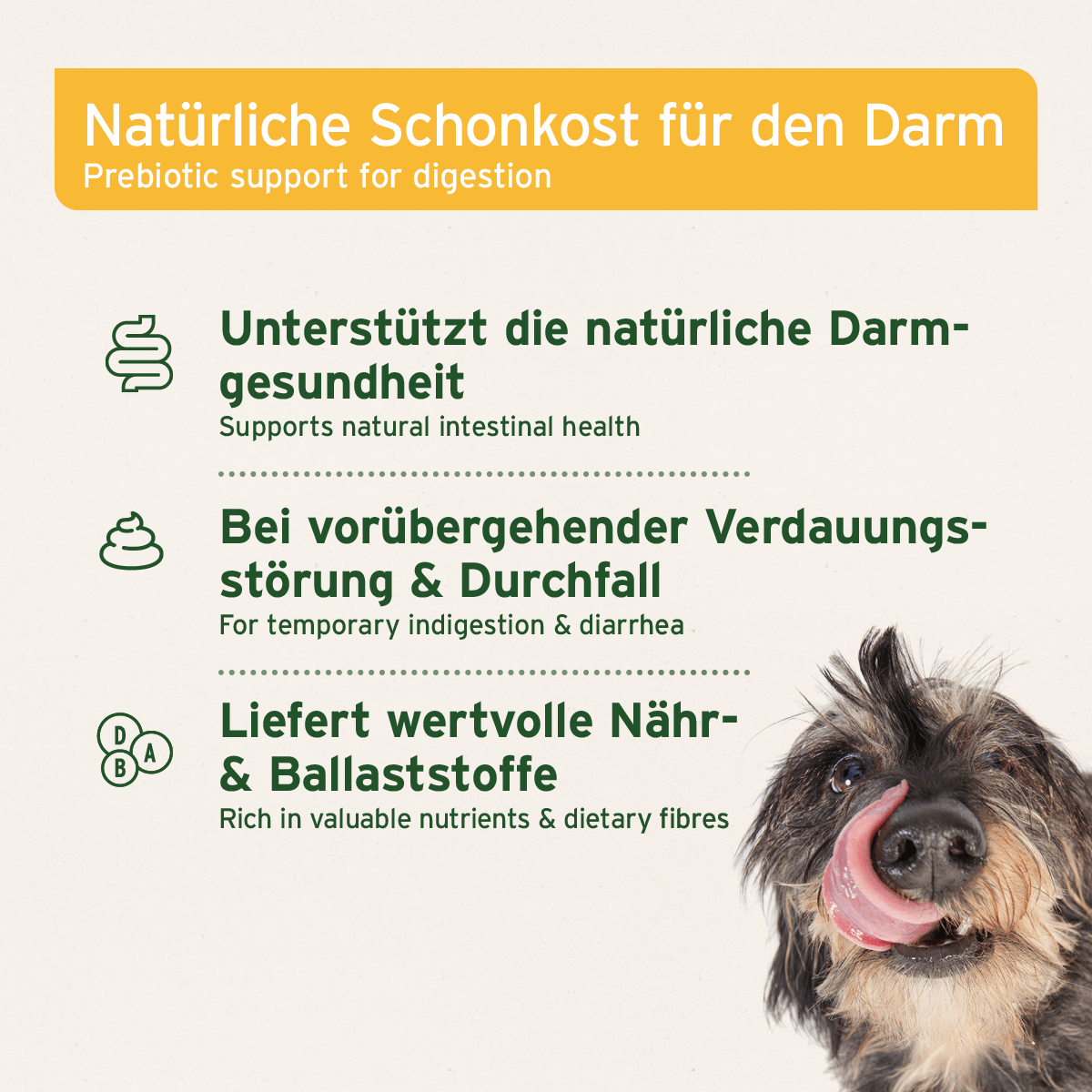 Natürliche Schonkost für Hunde zur Unterstützung der Darmgesundheit bei Verdauungsstörungen und Durchfall.