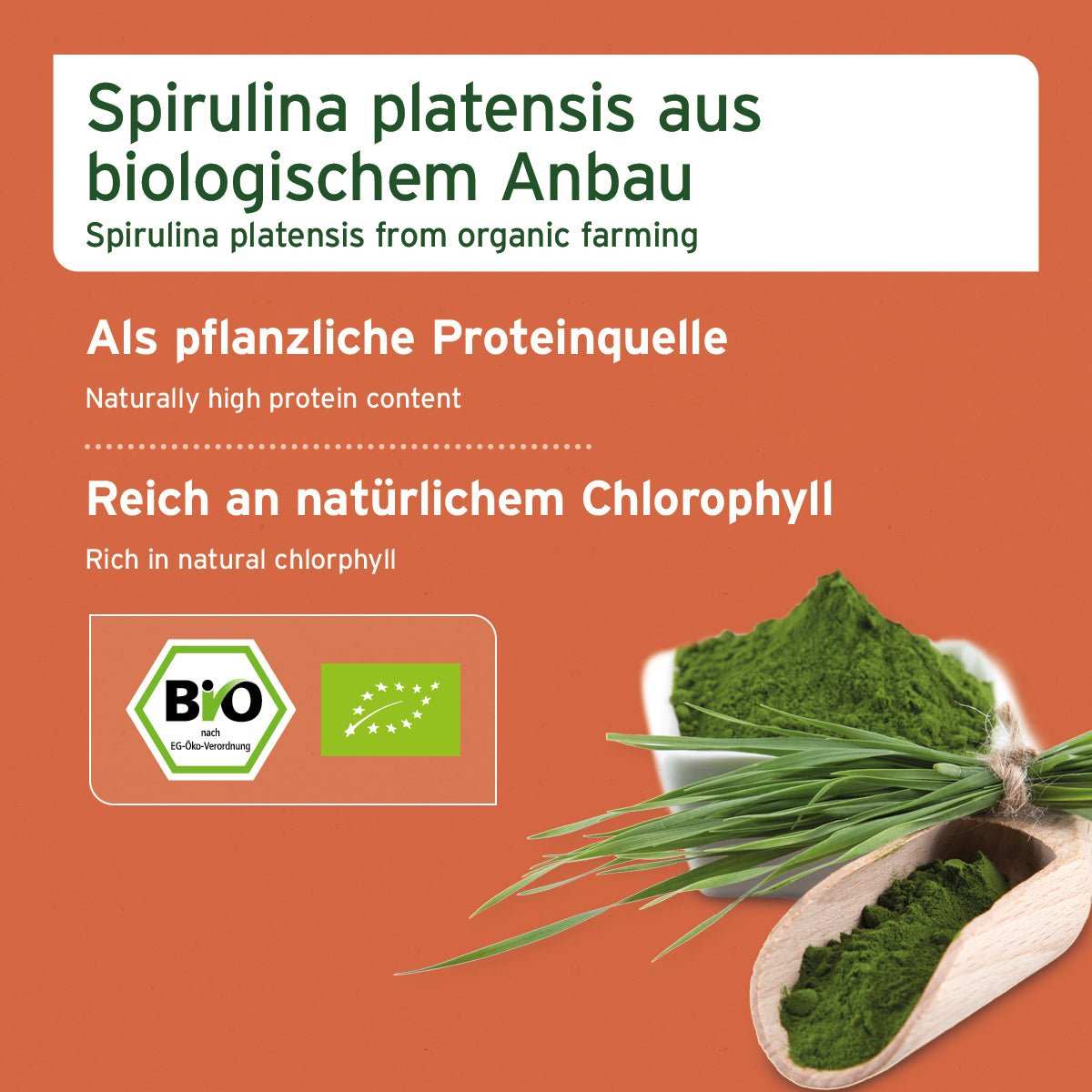 Informationen zum Bio Spirulina Pulver - AniForte
