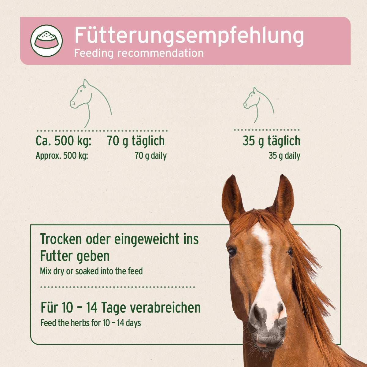 Fütterungsempfehlung für „Bronchial Kräuter“ von AniForte® für Pferde mit Dosierung und Anwendungstipps, präsentiert vor Pferdebild.