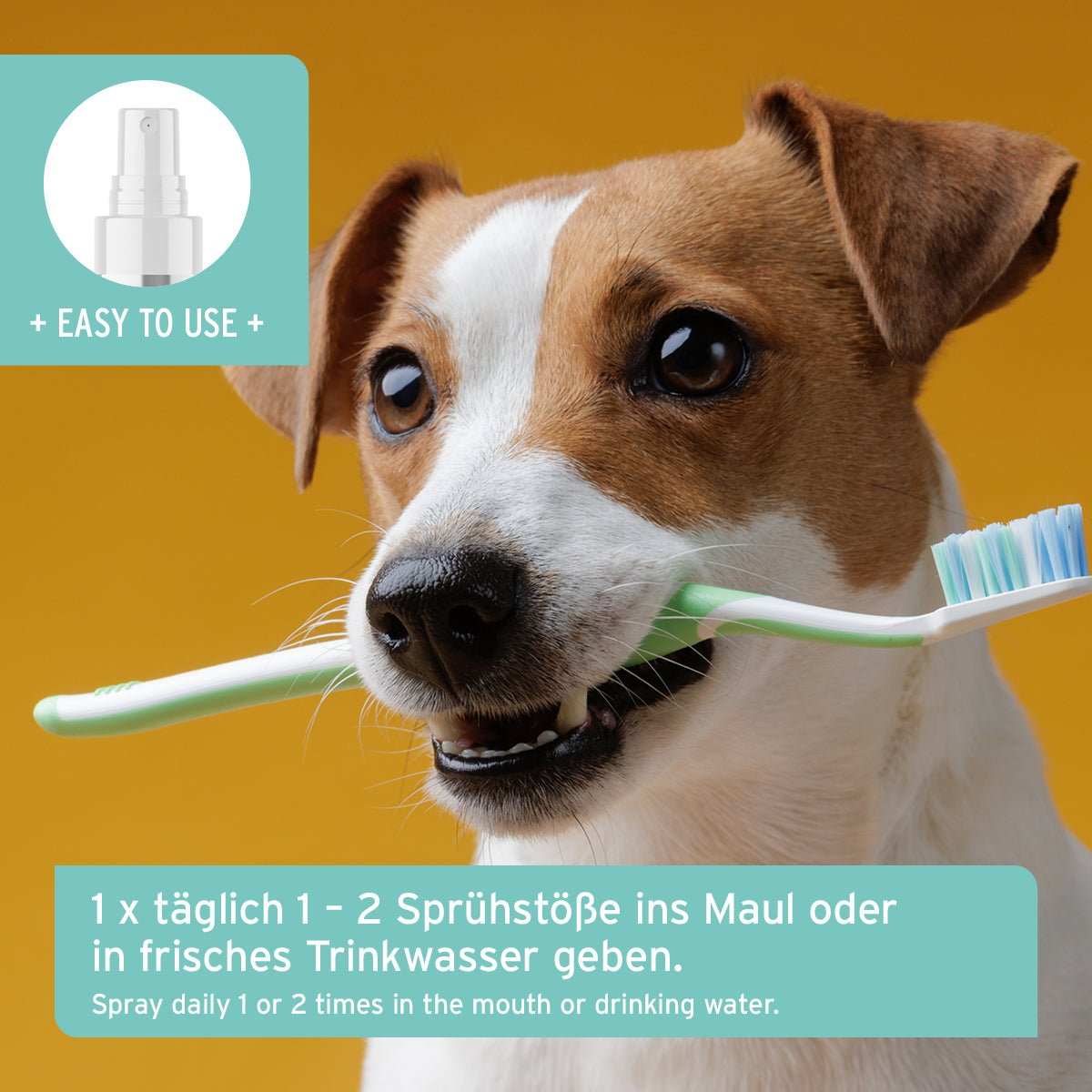 Denta Clean & Care Dentalspray für Hunde mit Zahnbürste, einfache Zahnpflege für frischen Atem.