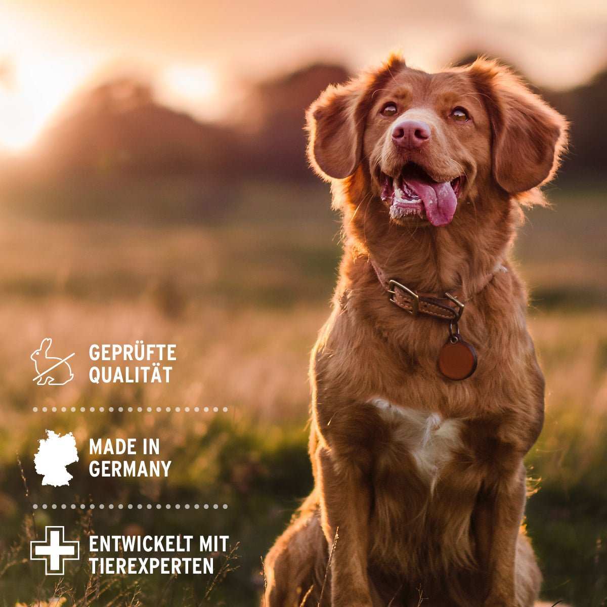 Denta Clean & Care Dentalspray für Hunde vor Naturhintergrund mit Text zu Qualität, Herstellung in Deutschland und tierärztlicher Expertise.