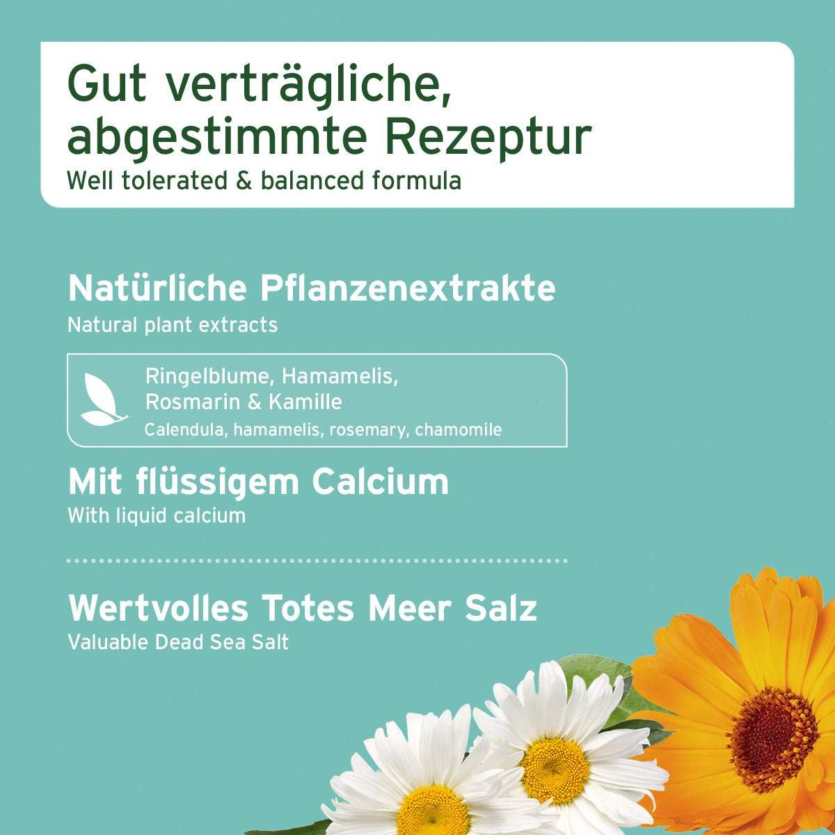 Infografik zu Denta Clean & Care Dentalspray für Hunde mit natürlichen Pflanzenextrakten, flüssigem Calcium und Totem Meer Salz. Dazu Blumen auf türkisem Hintergrund.