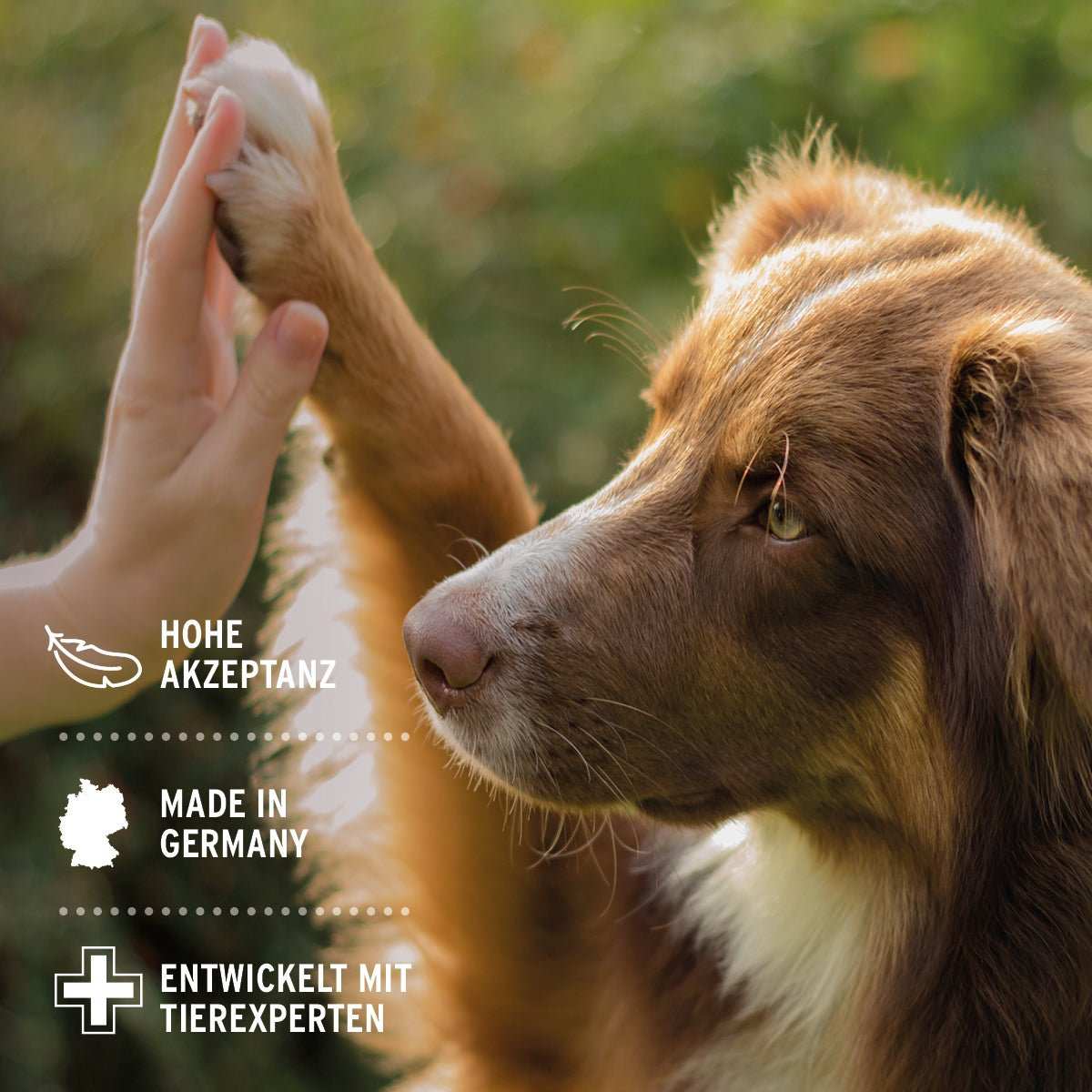 Hund gibt Pfote, Text "Hohe Akzeptanz", "Made in Germany", "Entwickelt mit Tierexperten" für Denta Clean & Care Zahnpflege Pulver.