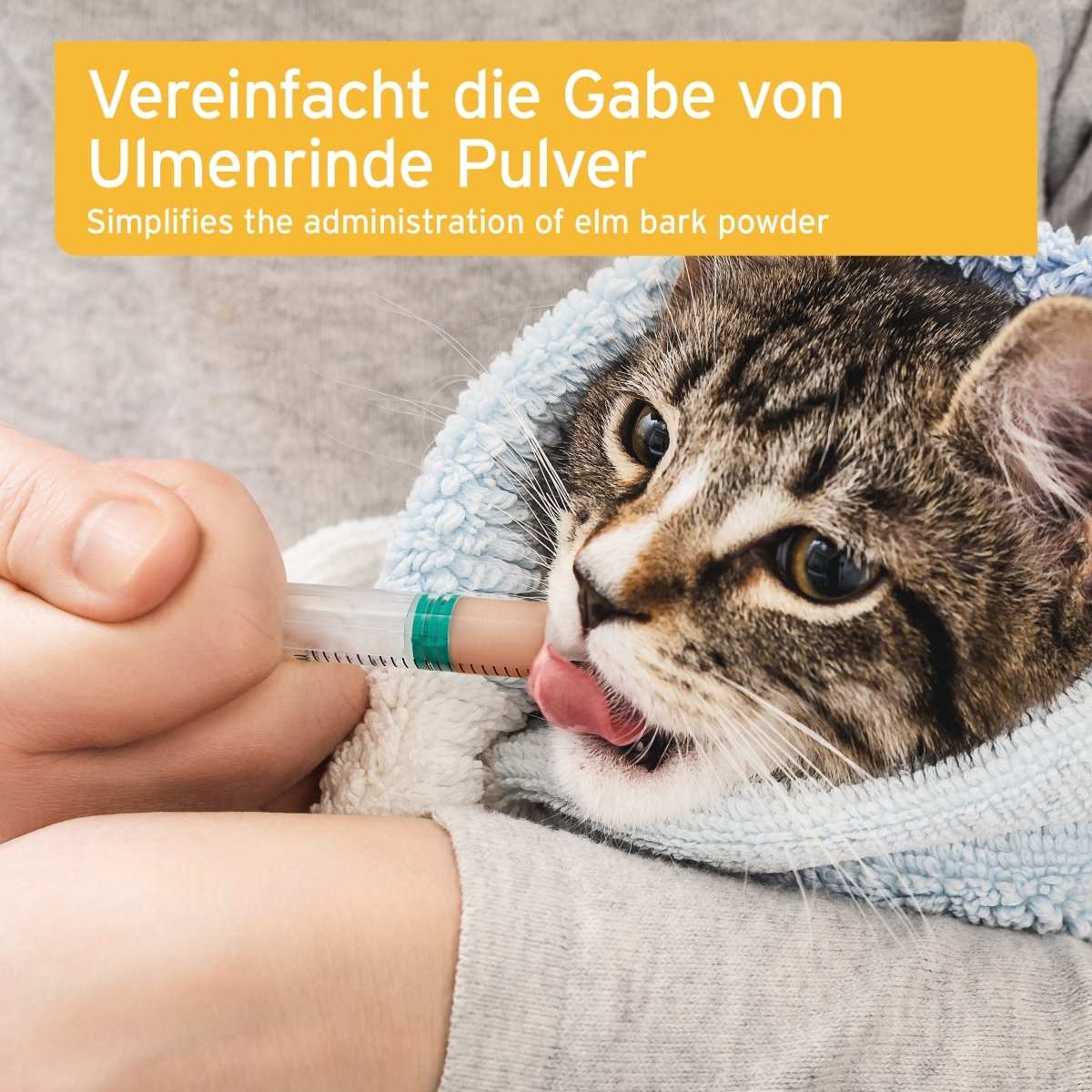 Katze wird Ulmenrinde mit Dosierspritze verabreicht.
