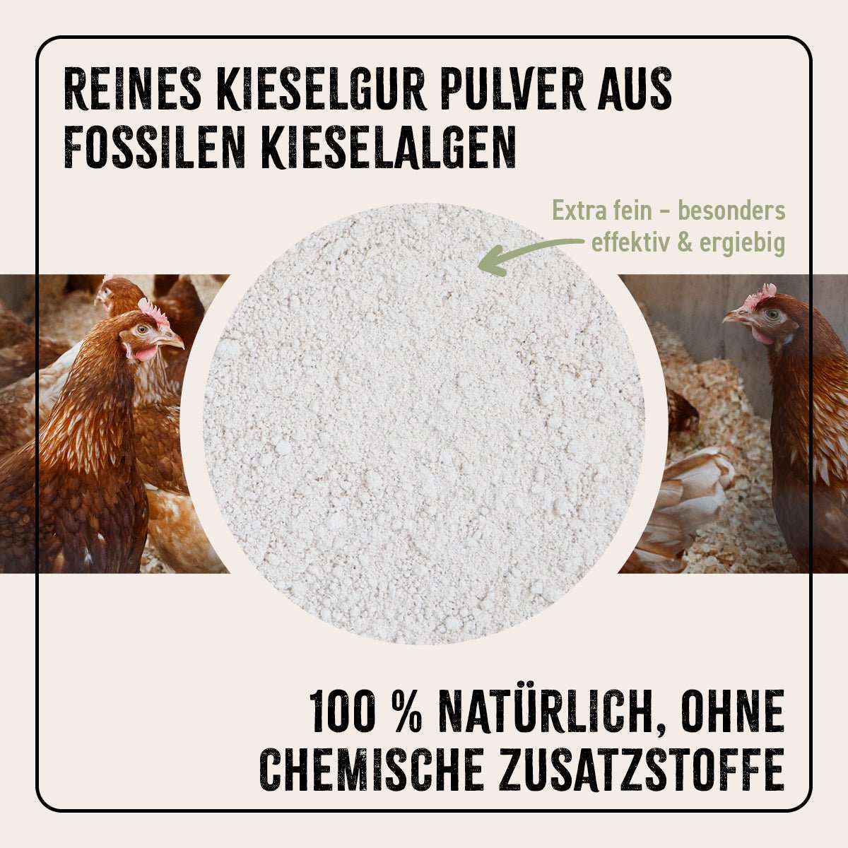 Reines Kieselgur Pulver aus fossilen Kieselalgen für natürliche Stallhygiene und Geflügelpflege, 100 % ohne chemische Zusatzstoffe.